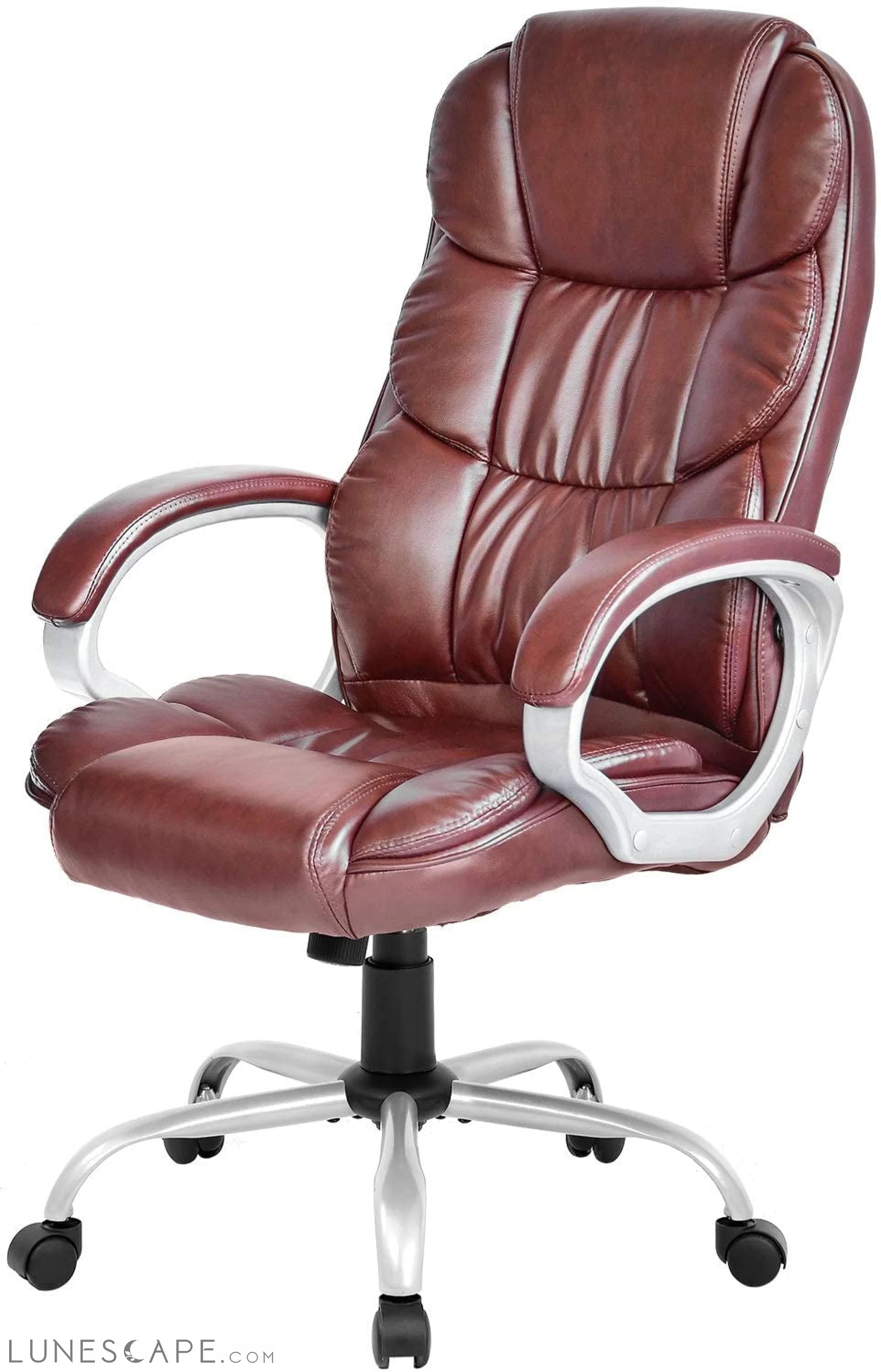 Office Chair Computer High Back Adjustable Ergonomic Desk Chair LUNESCAPE
