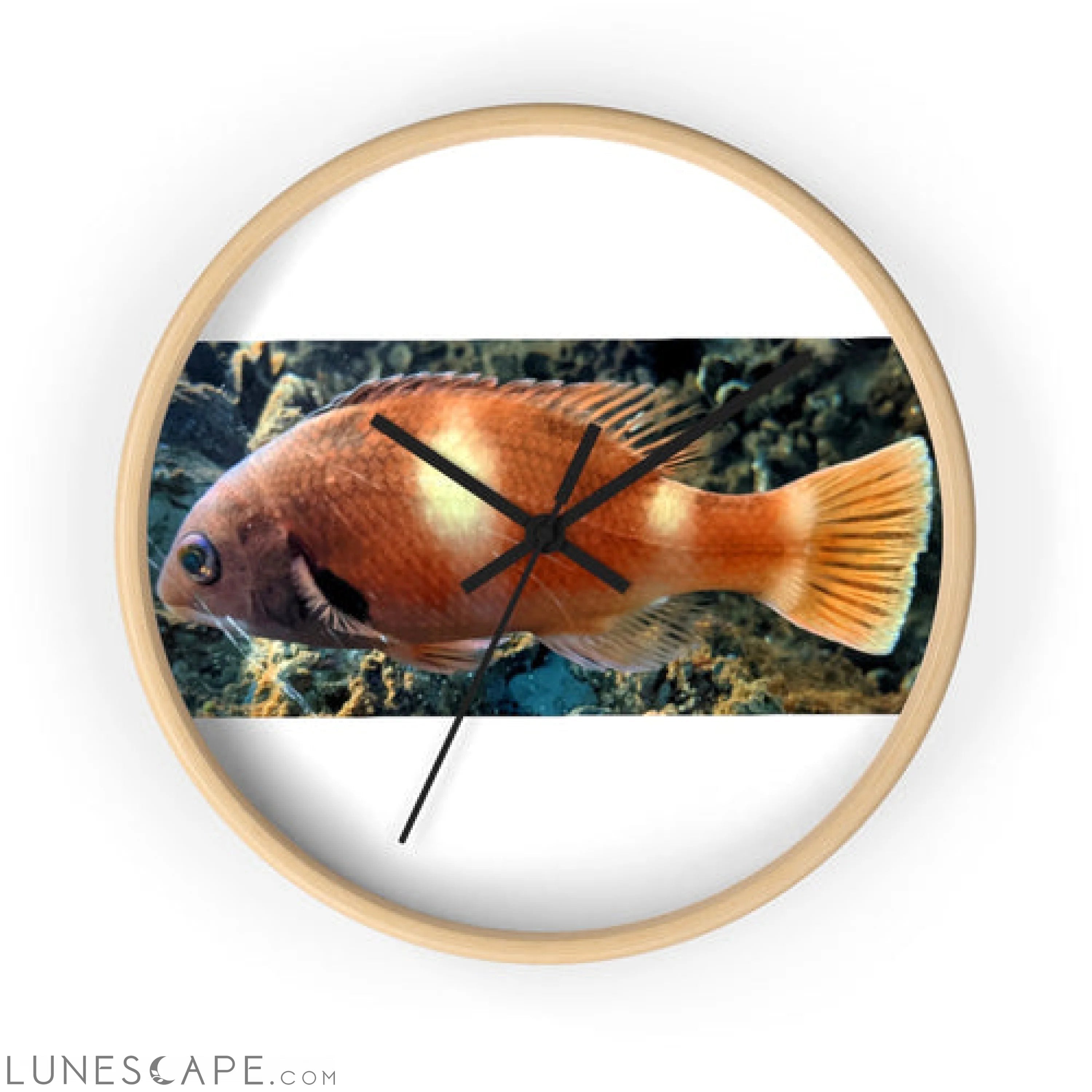 Orange Fish Wall clock LUNESCAPE