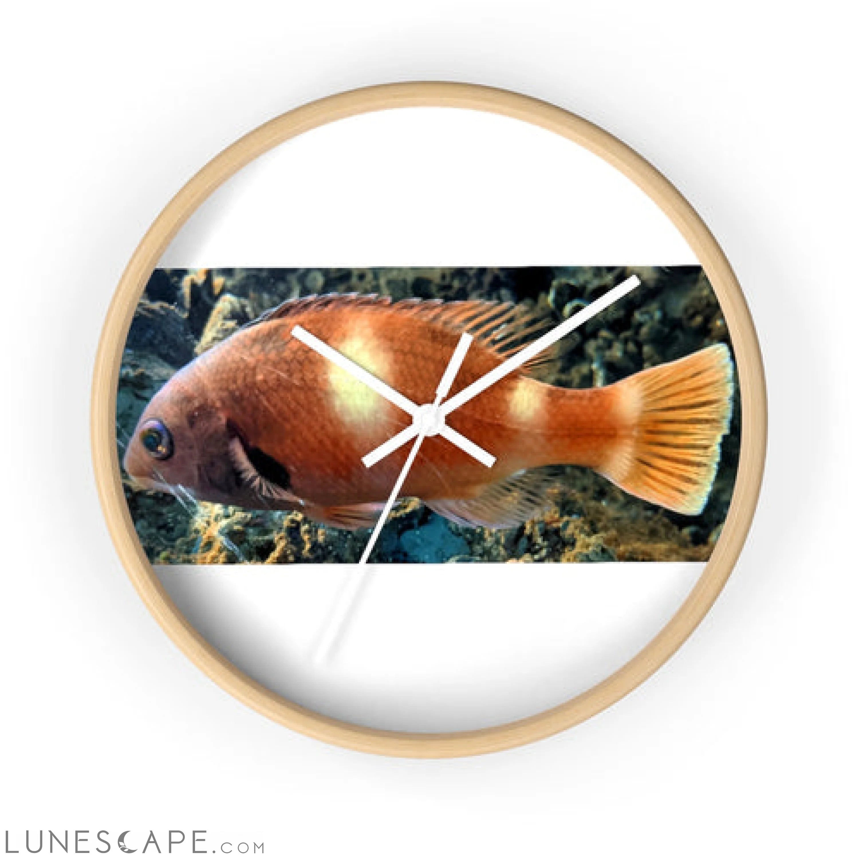 Orange Fish Wall clock LUNESCAPE