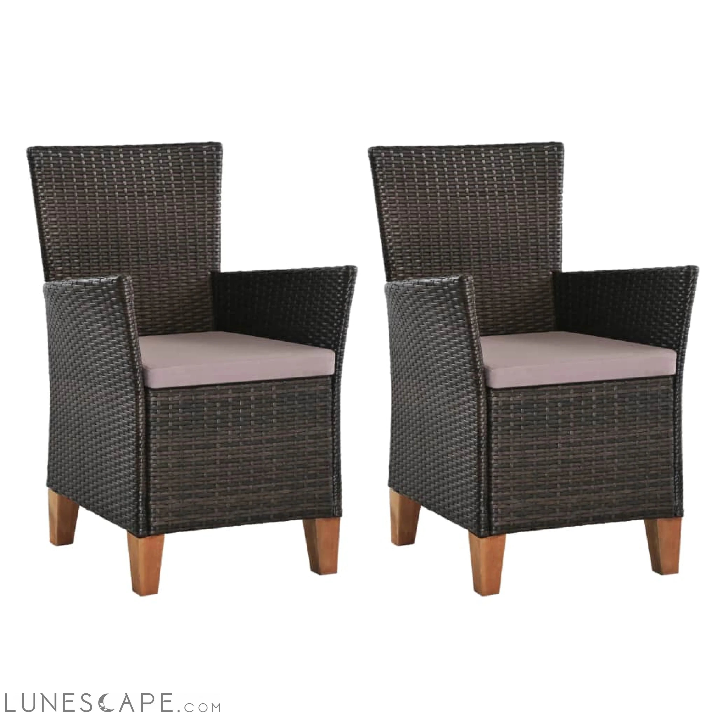 Outdoor Chairs with Cushions 2 pcs Poly Rattan Black LUNESCAPE
