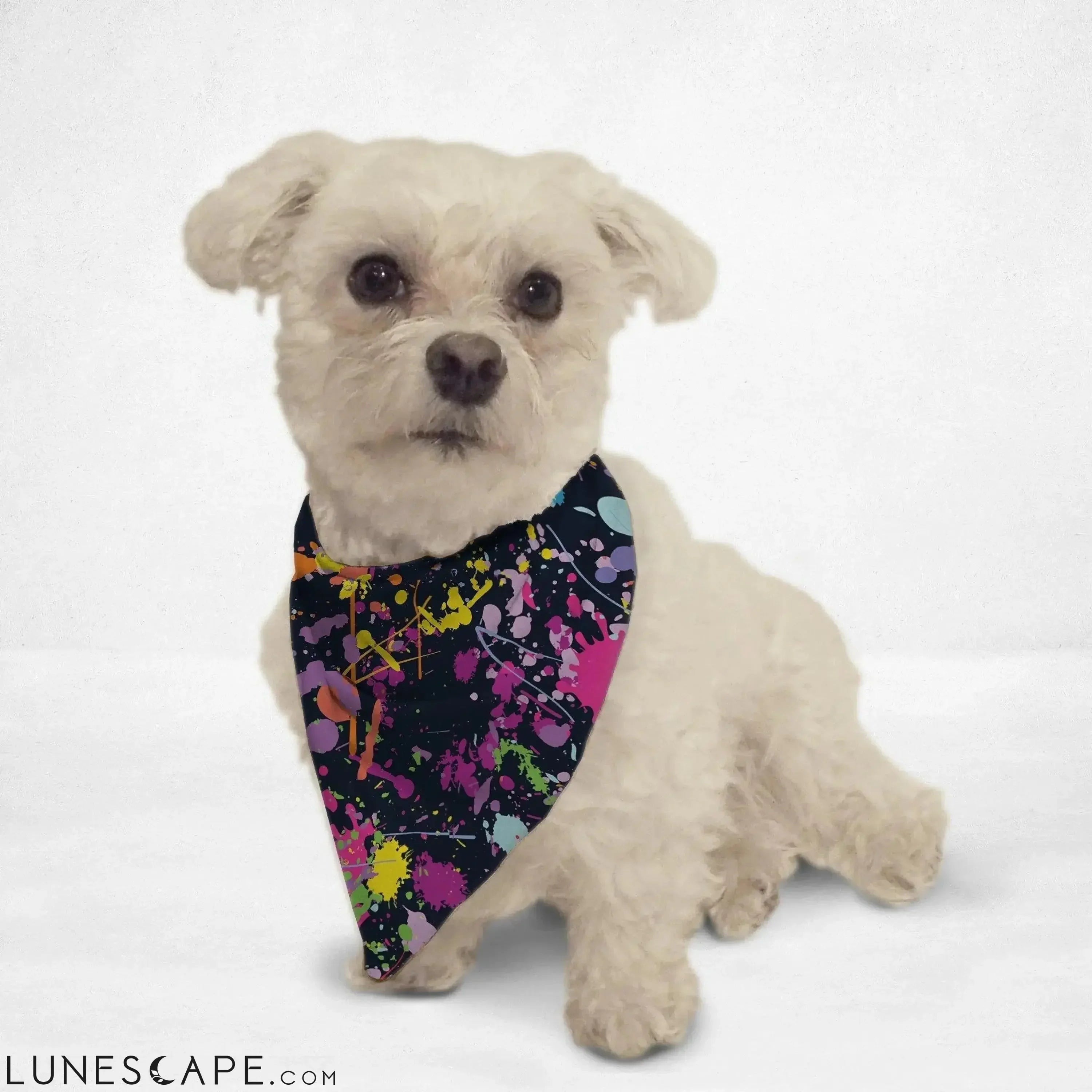 Paint Splatter Cat Bandana LUNESCAPE