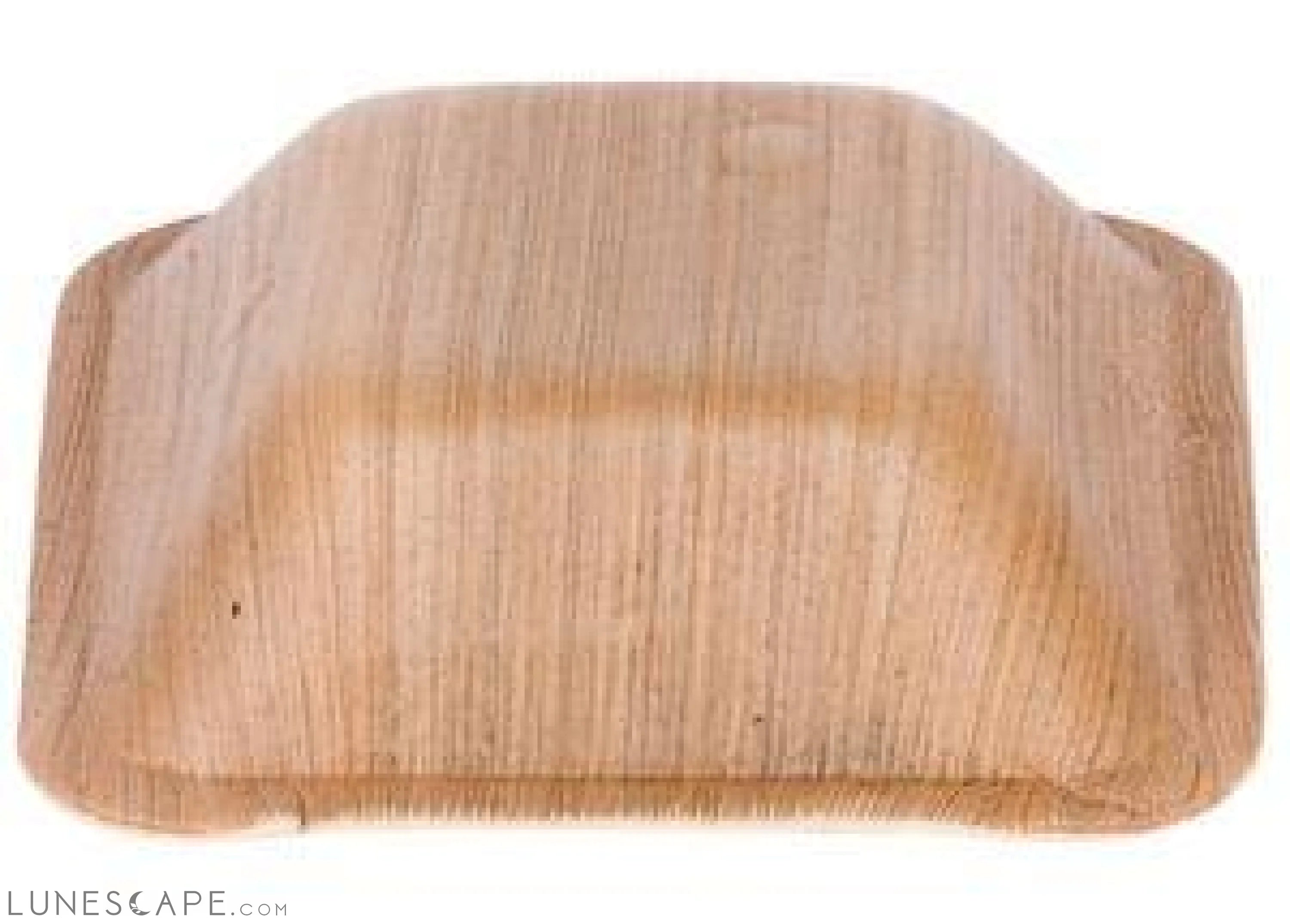 Palm Leaf Deep Square Bowls 5" Inch LUNESCAPE