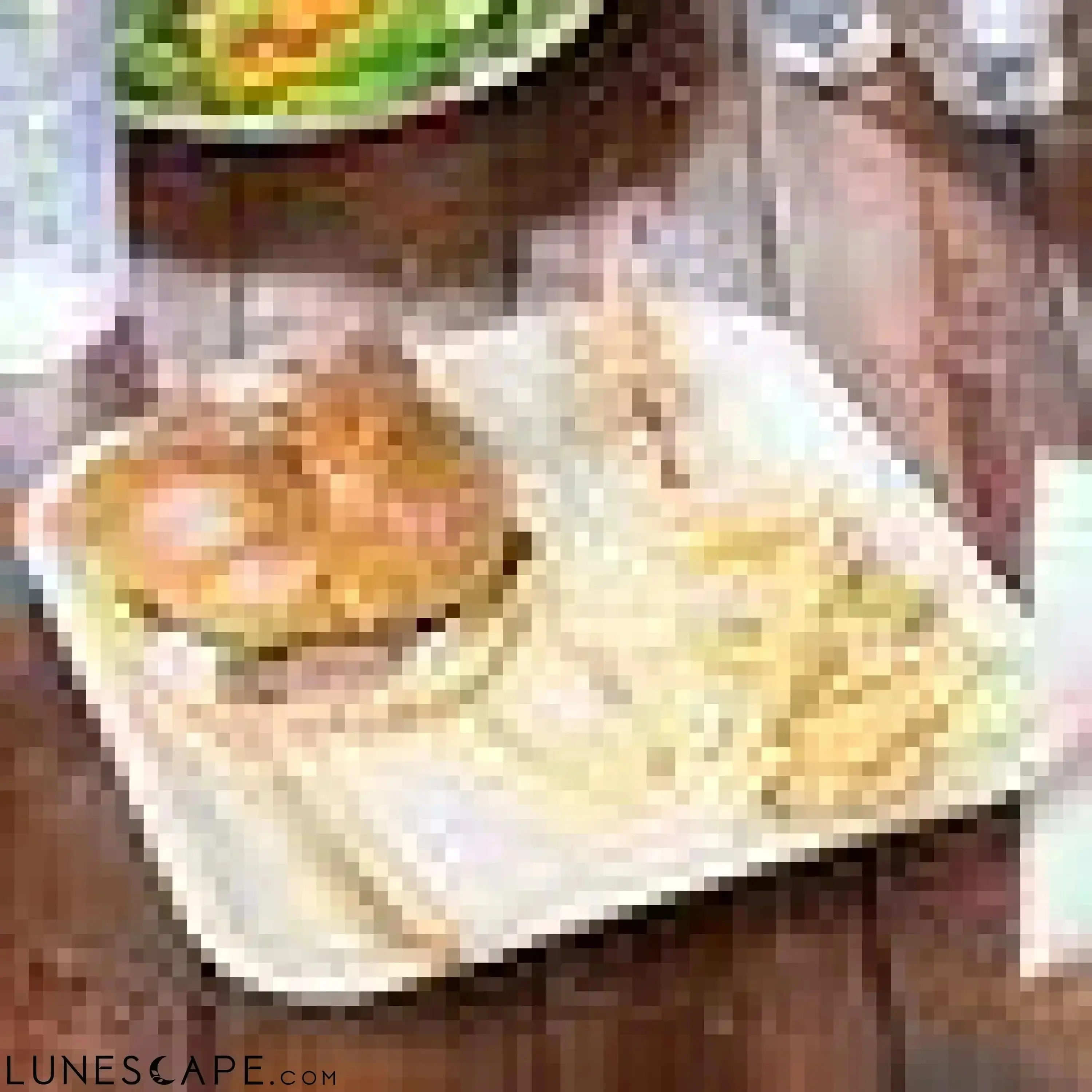Palm Leaf Plates Square 10" Inch LUNESCAPE