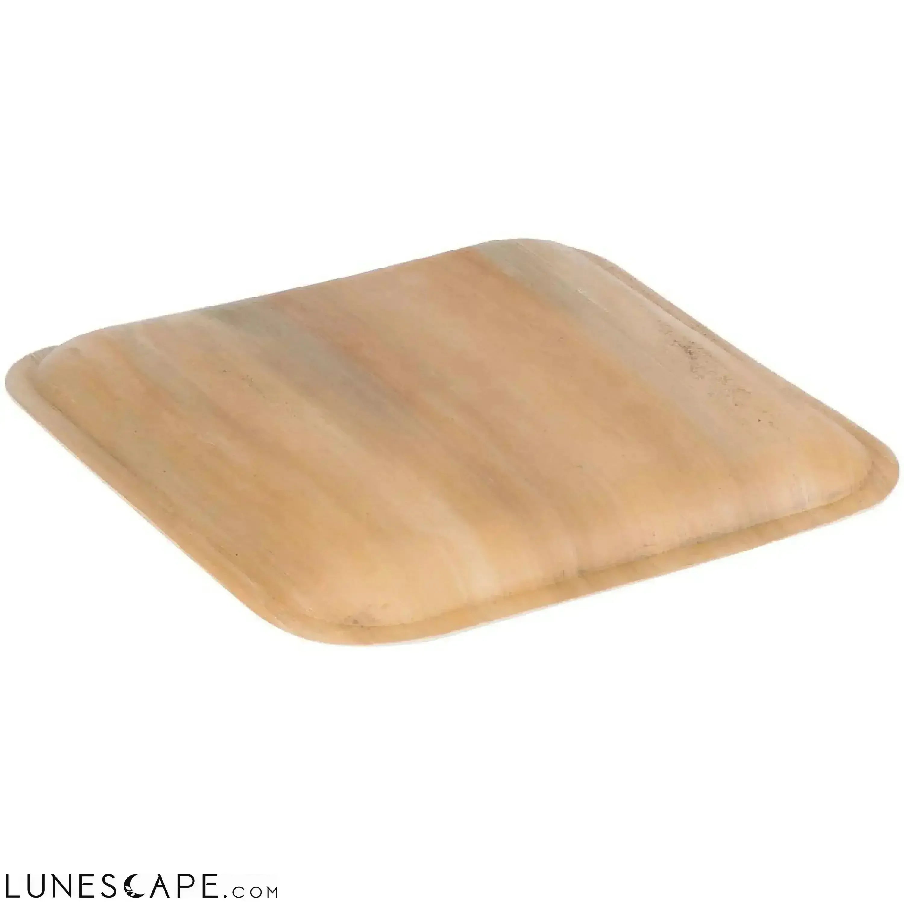 Palm Leaf Plates Square 10" Inch LUNESCAPE