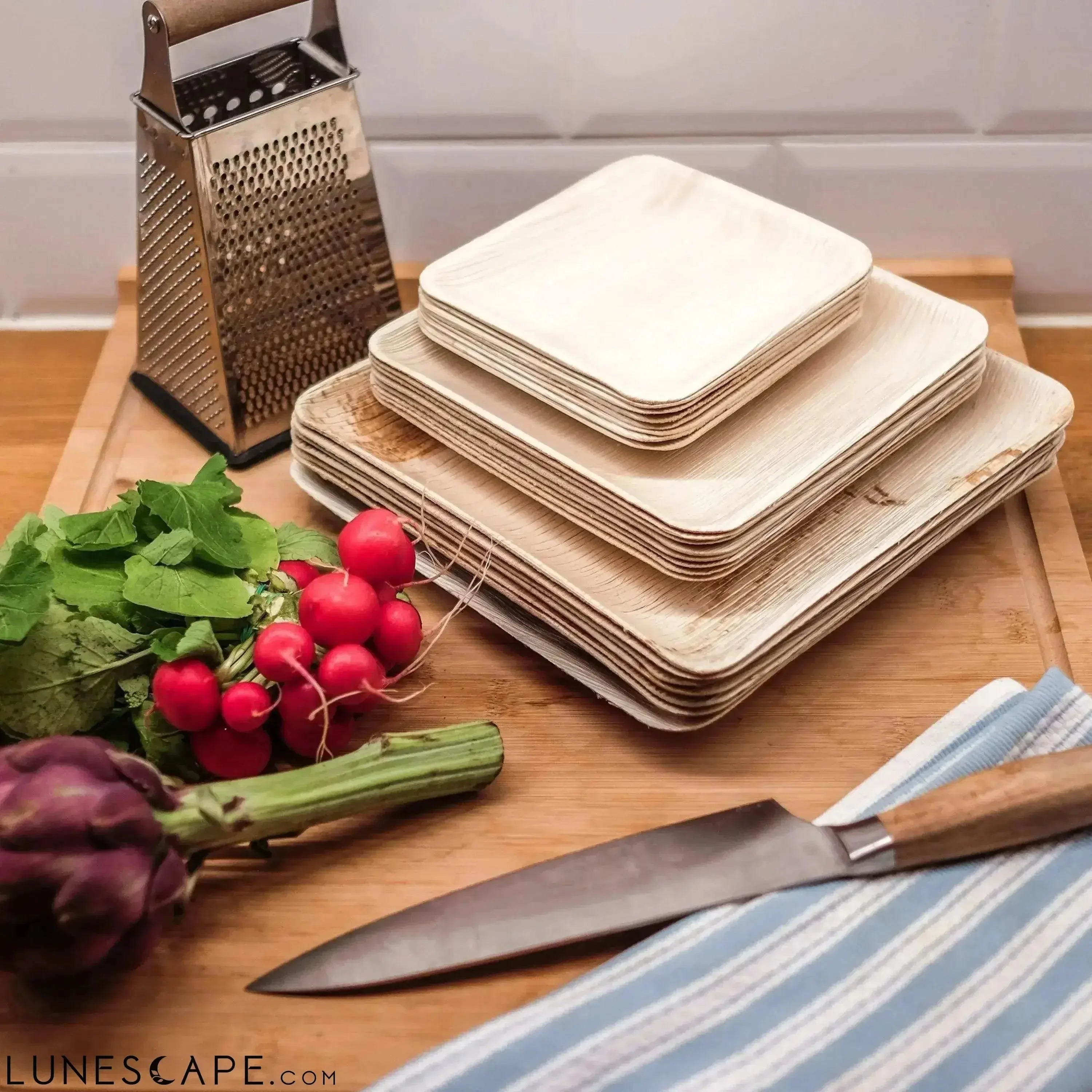 Palm Leaf Plates Square 10" Inch LUNESCAPE