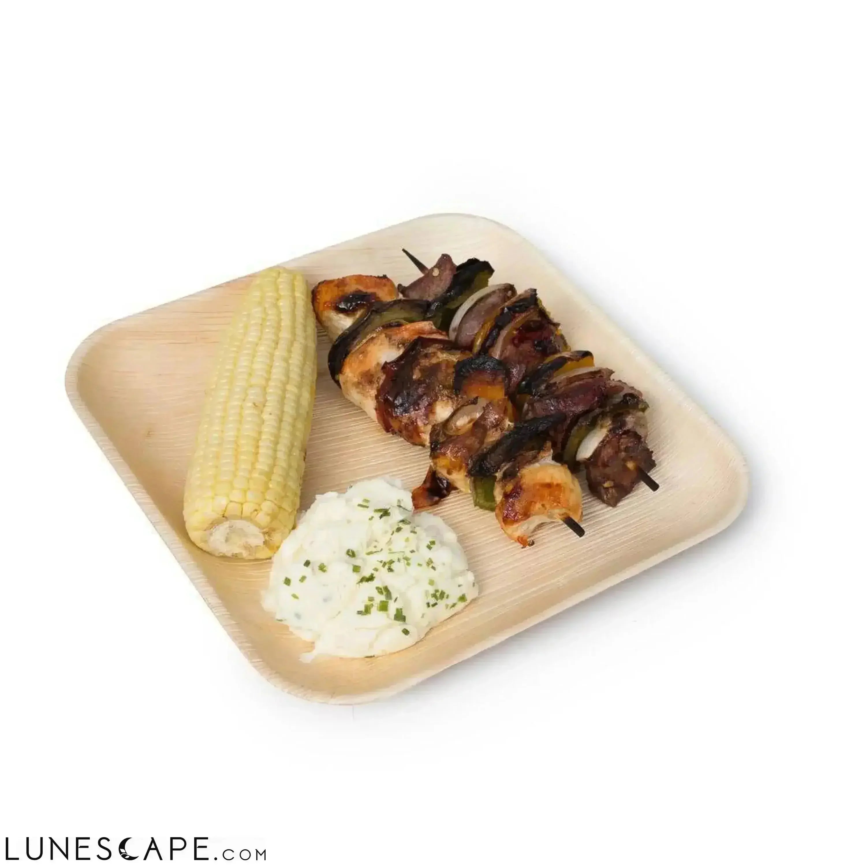 Palm Leaf Plates Square 10" Inch LUNESCAPE