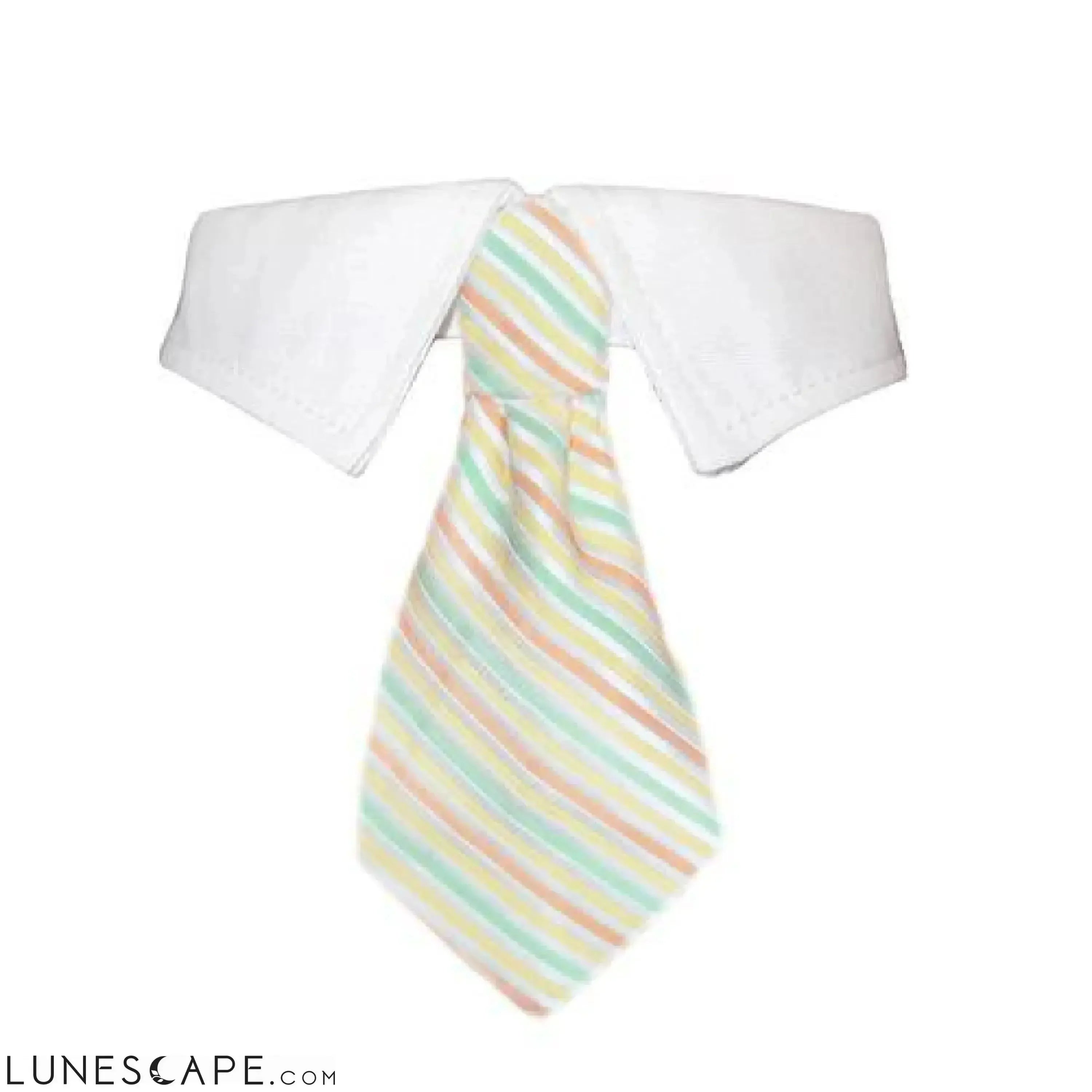 Parker Shirt Collar for Pets LUNESCAPE