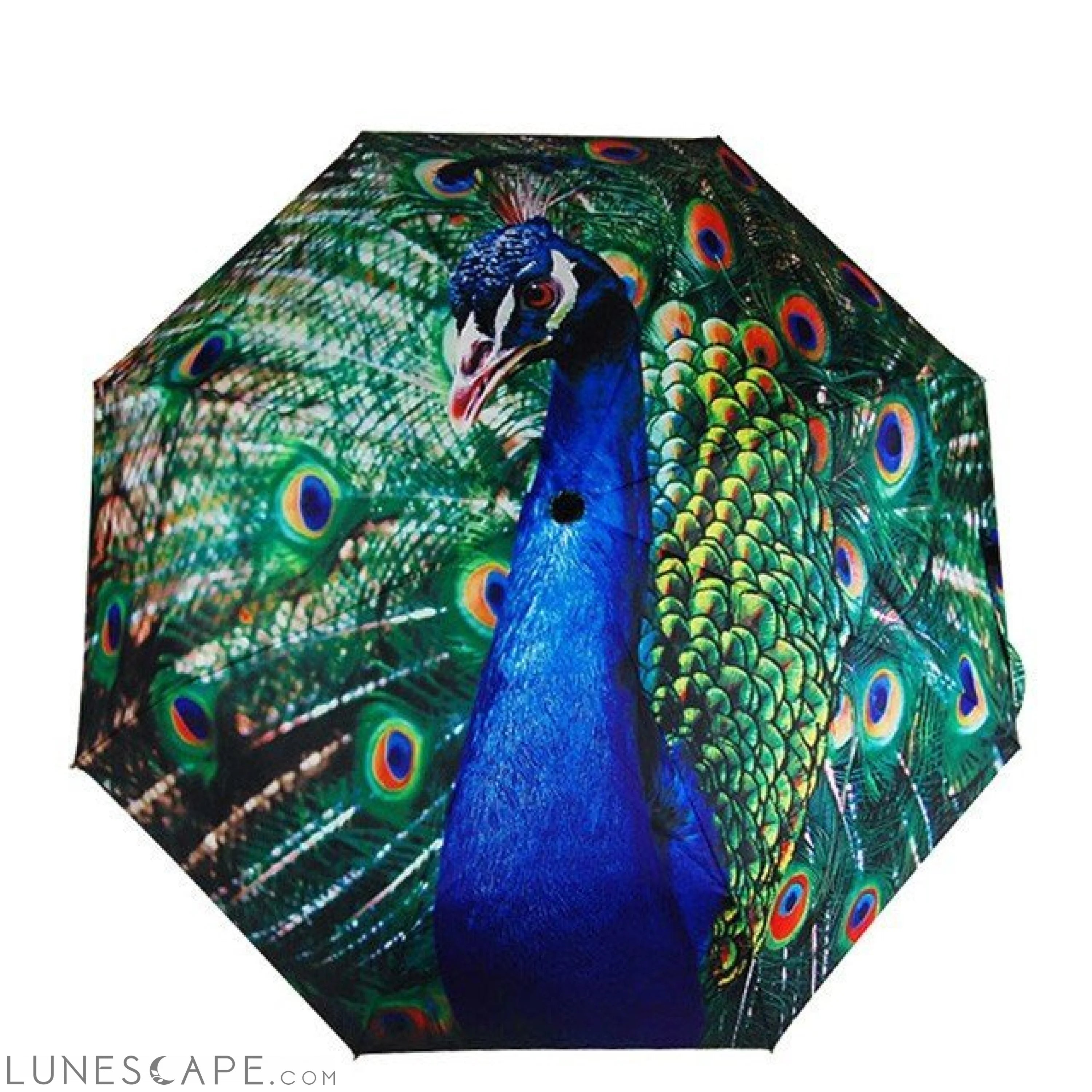 Peacock Sunny Umbrella LUNESCAPE