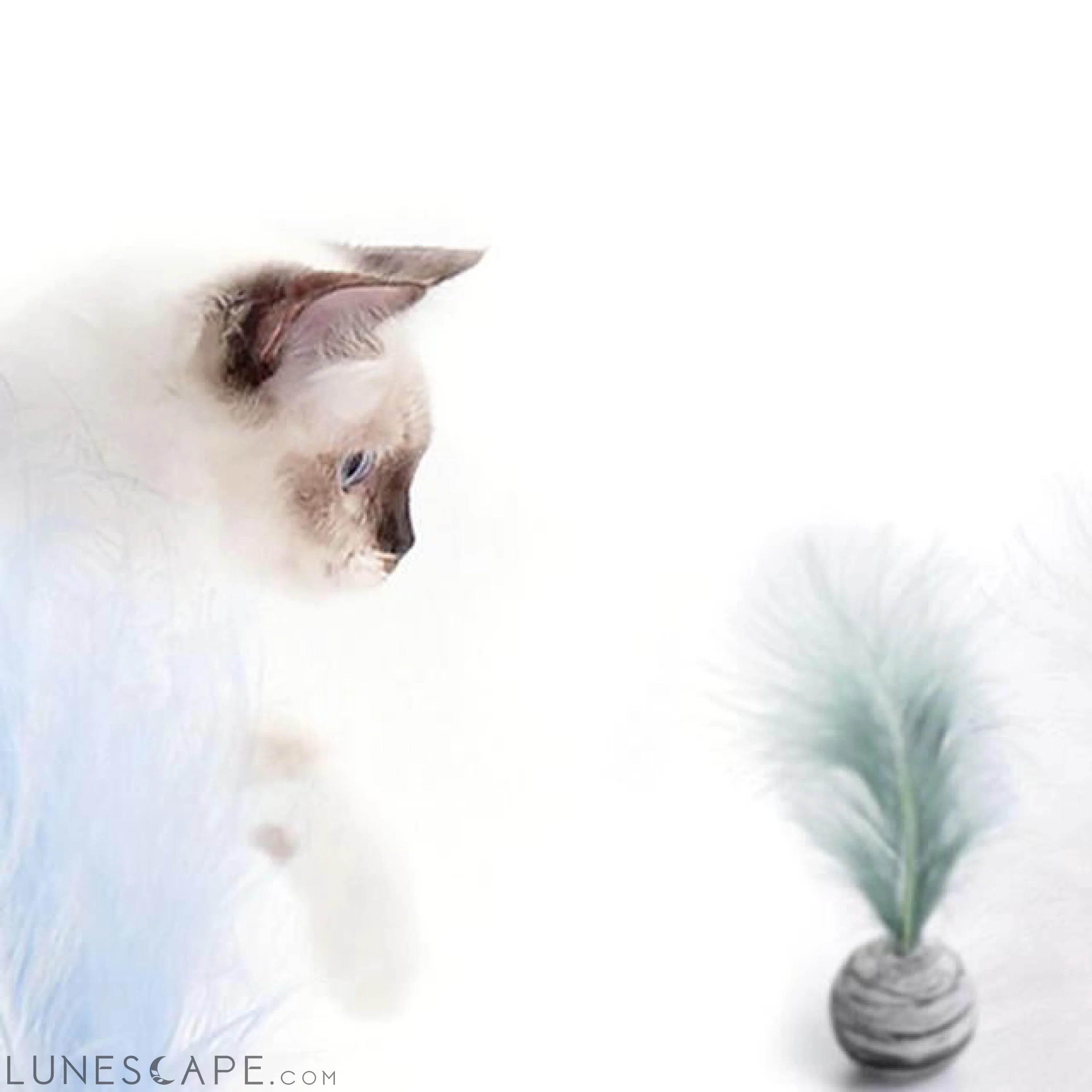 Pet Ball with feather LUNESCAPE