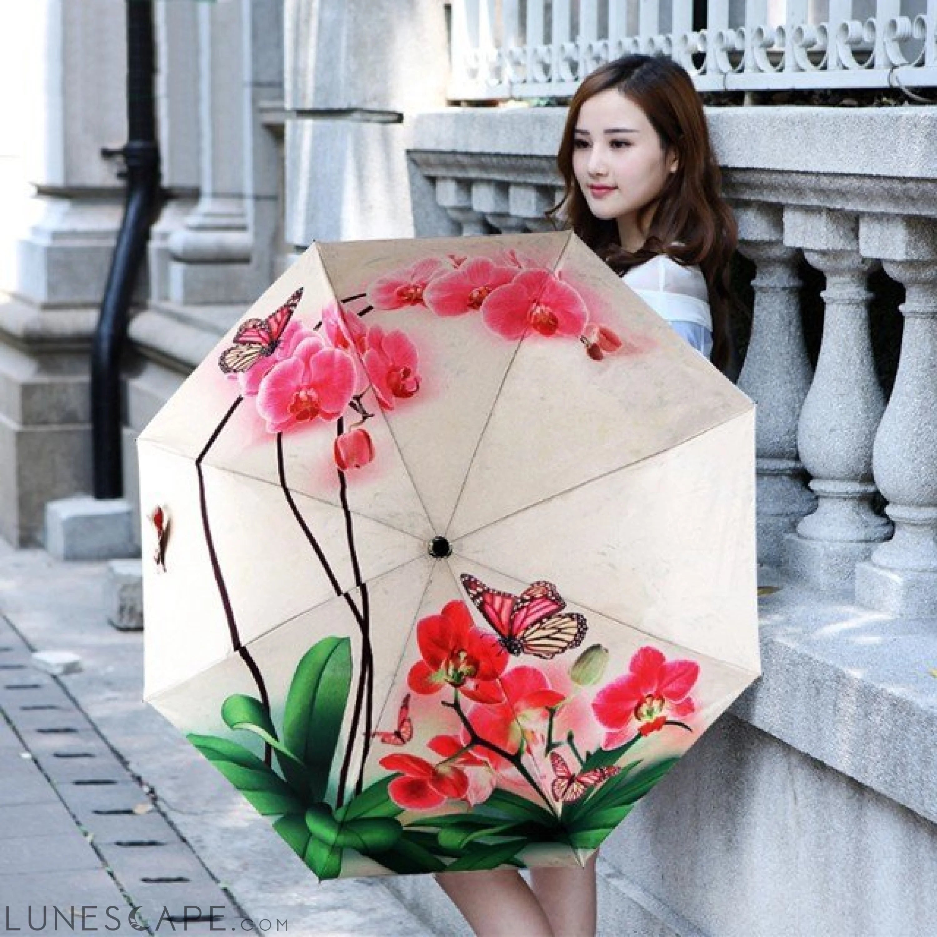 Phalaenopsis IllUstrations Sunny Umbrella LUNESCAPE