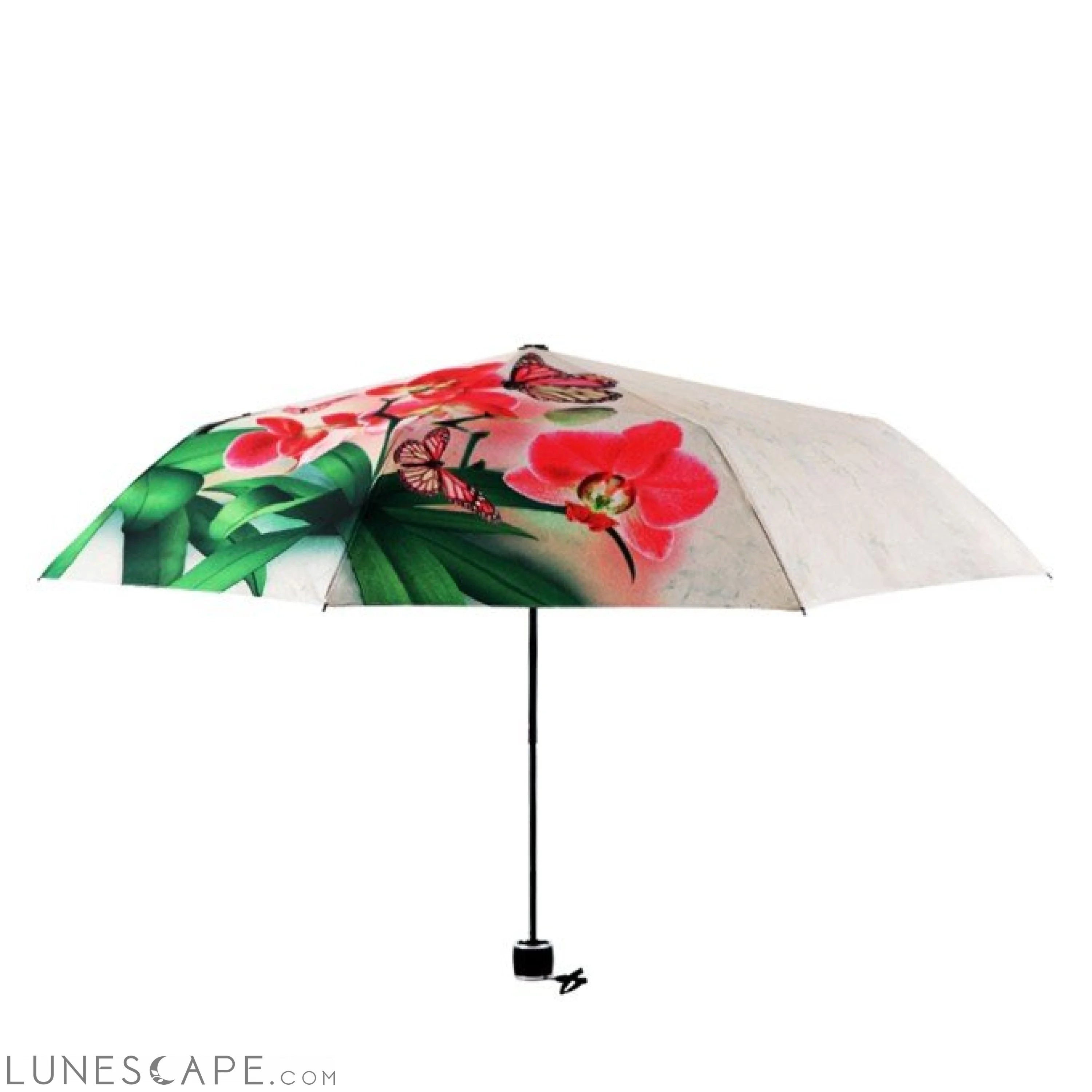 Phalaenopsis IllUstrations Sunny Umbrella LUNESCAPE