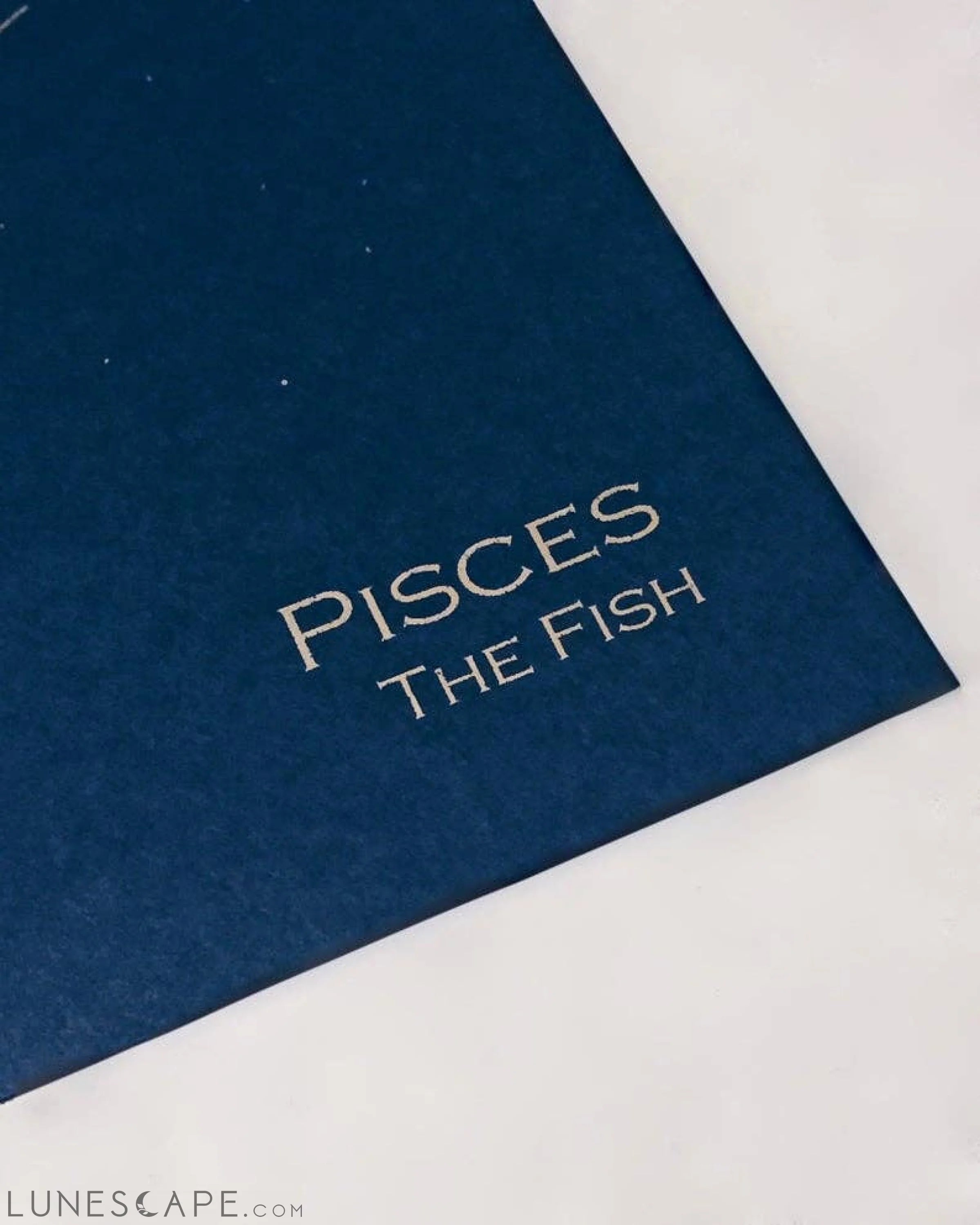 Pisces Constellation Zodiac Art Print LUNESCAPE