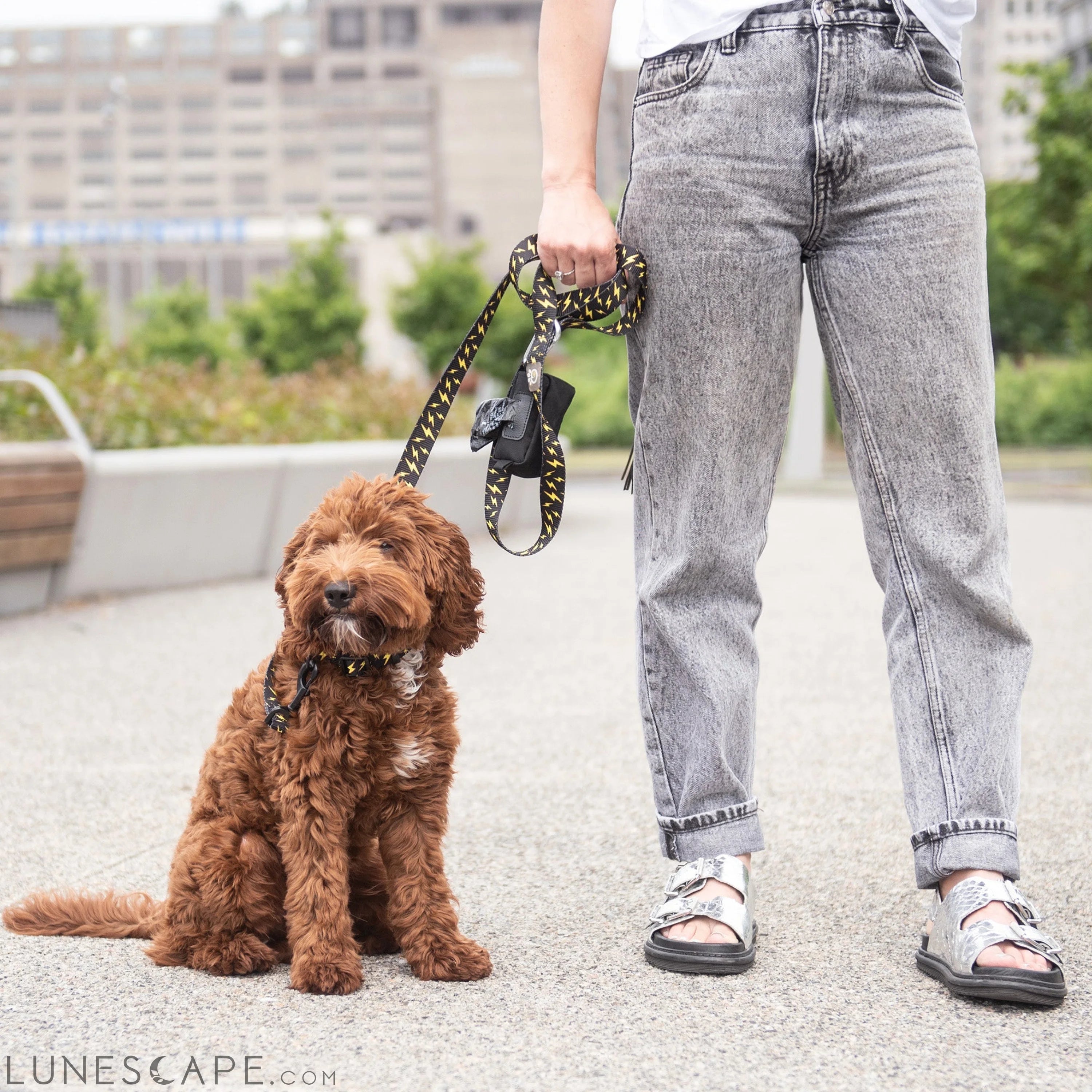 Poop Bag Dispenser - Black LUNESCAPE
