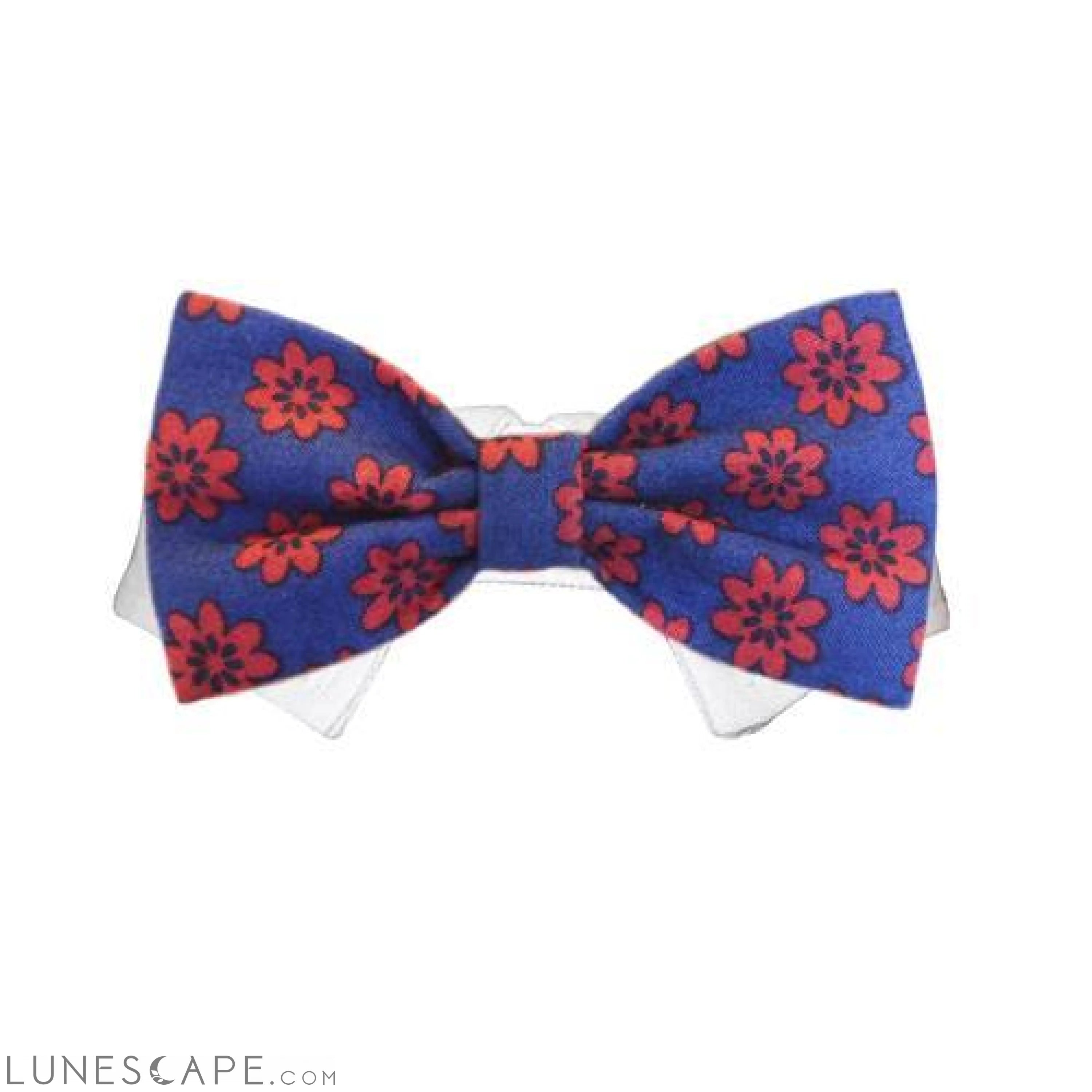 Preston Bow Tie LUNESCAPE