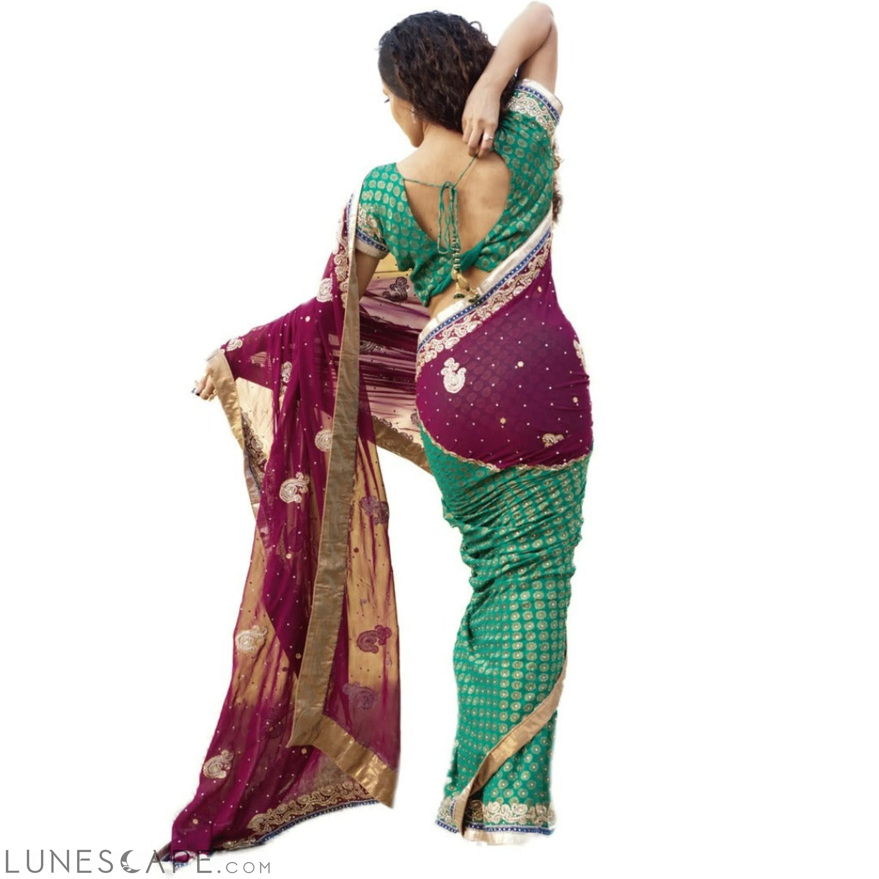 Pure Georgette With Stone Work Saree LUNESCAPE