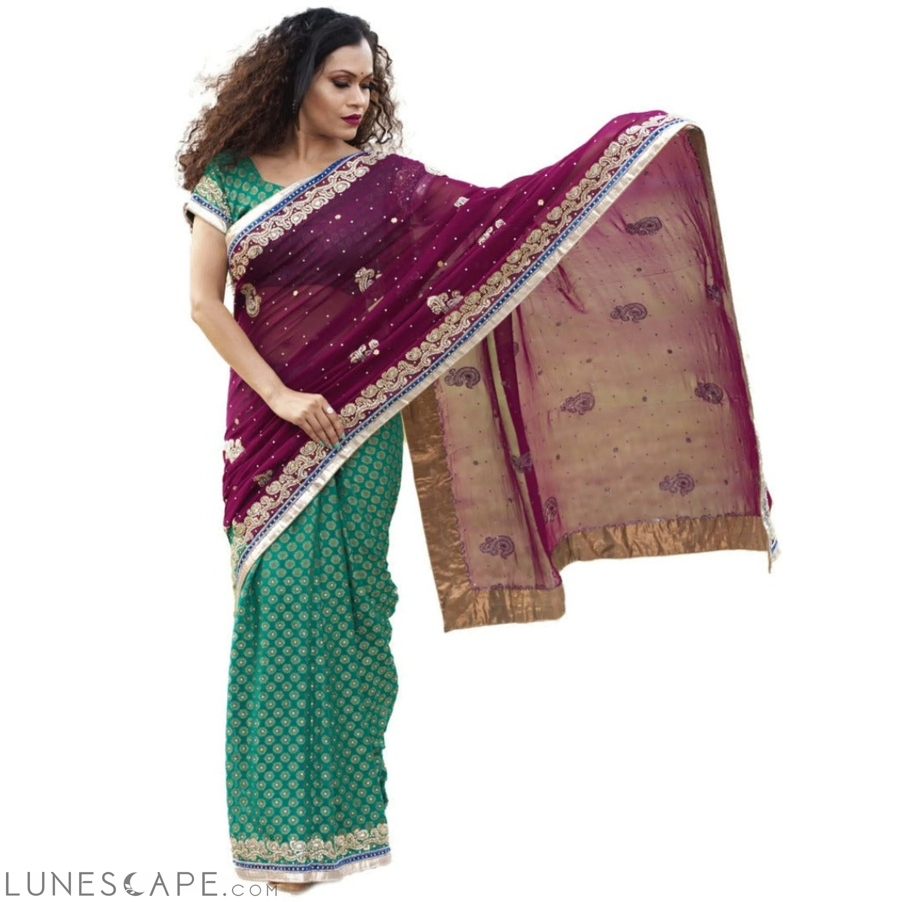 Pure Georgette With Stone Work Saree LUNESCAPE