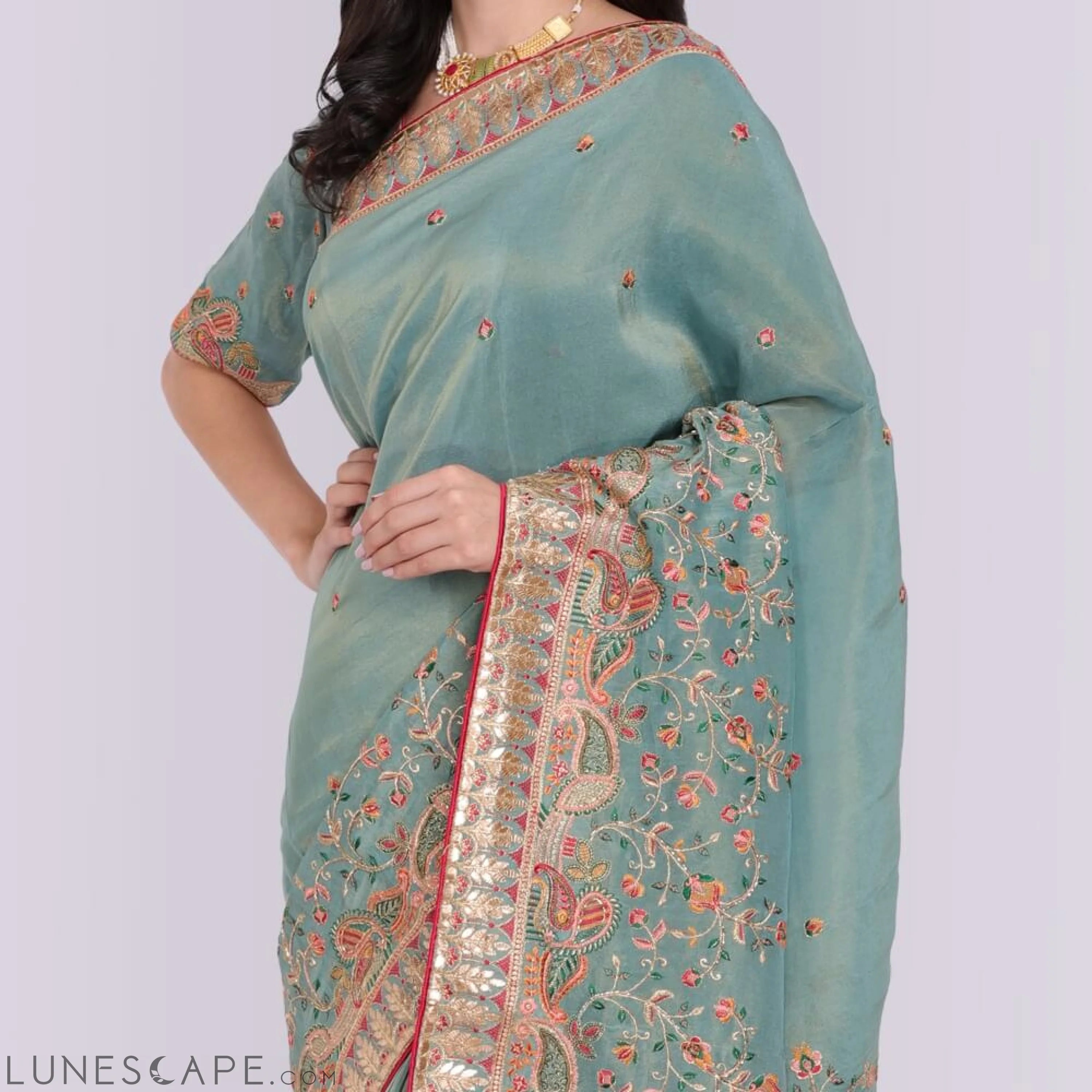 Pure Organza Saree With Hand Embroidery LUNESCAPE