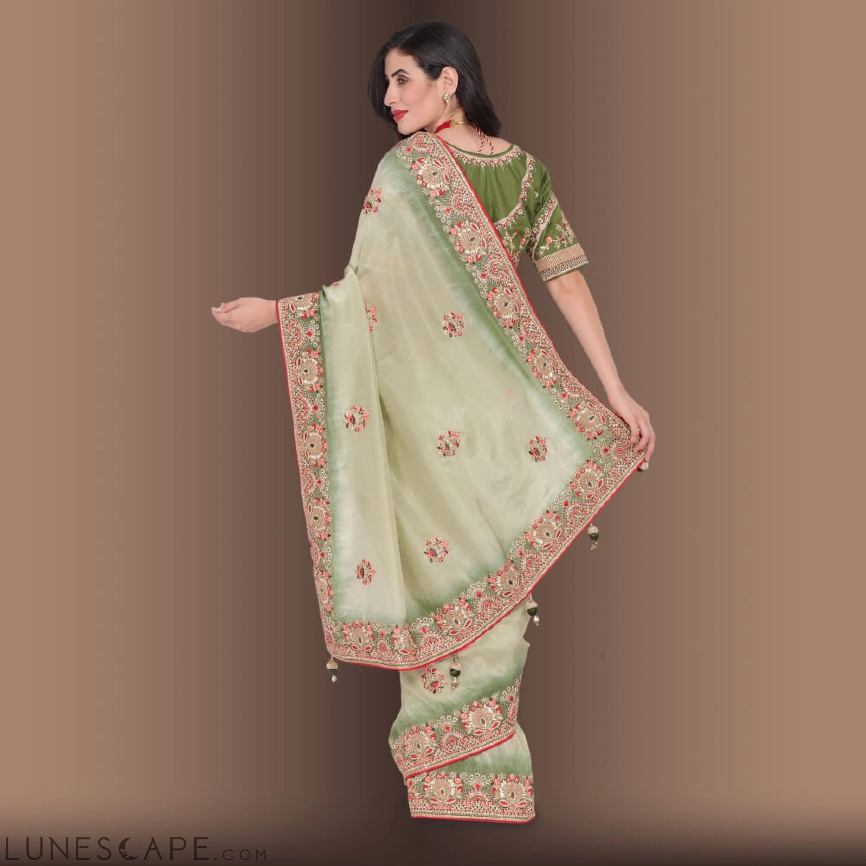 Pure Organza Saree With Zardozi Work LUNESCAPE