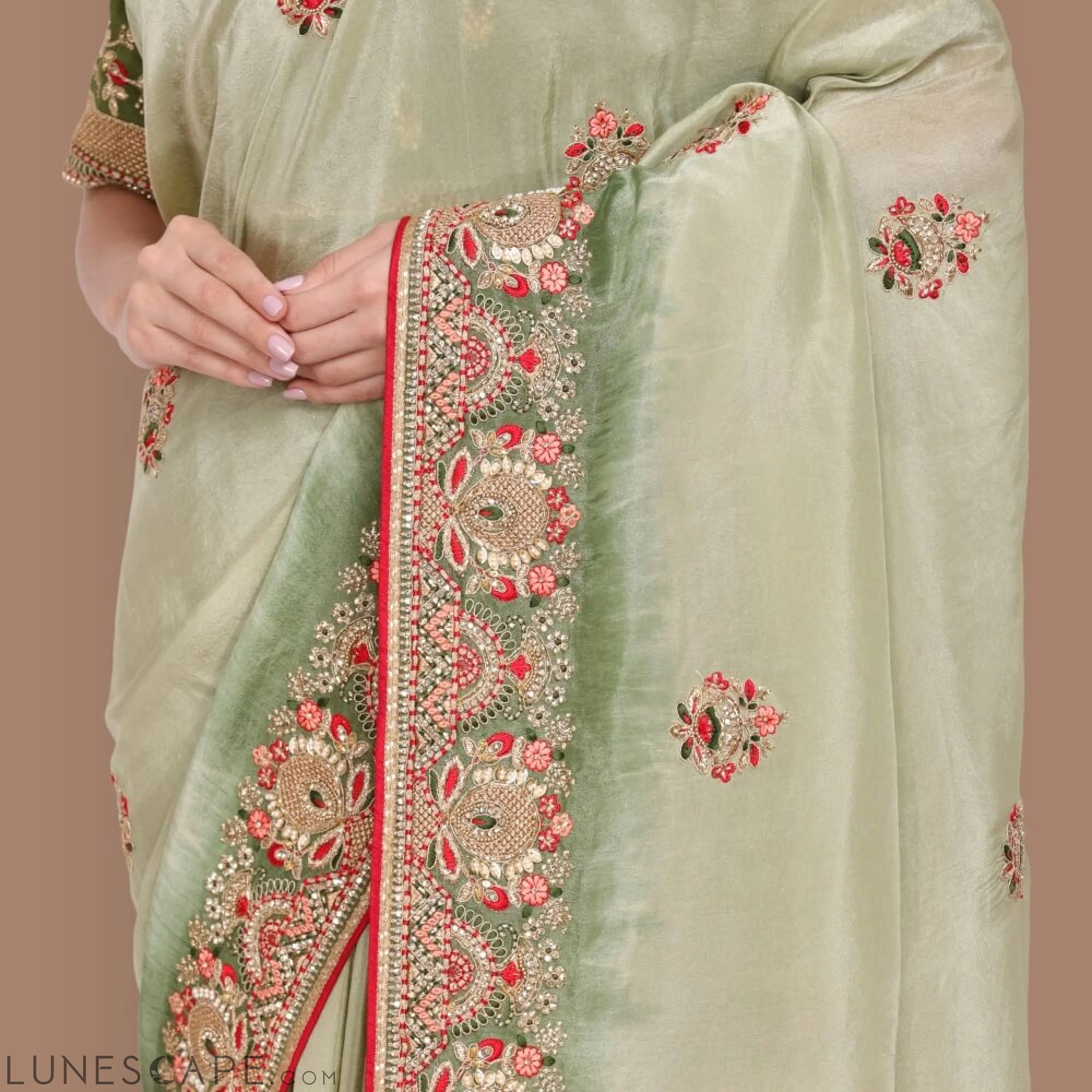 Pure Organza Saree With Zardozi Work LUNESCAPE