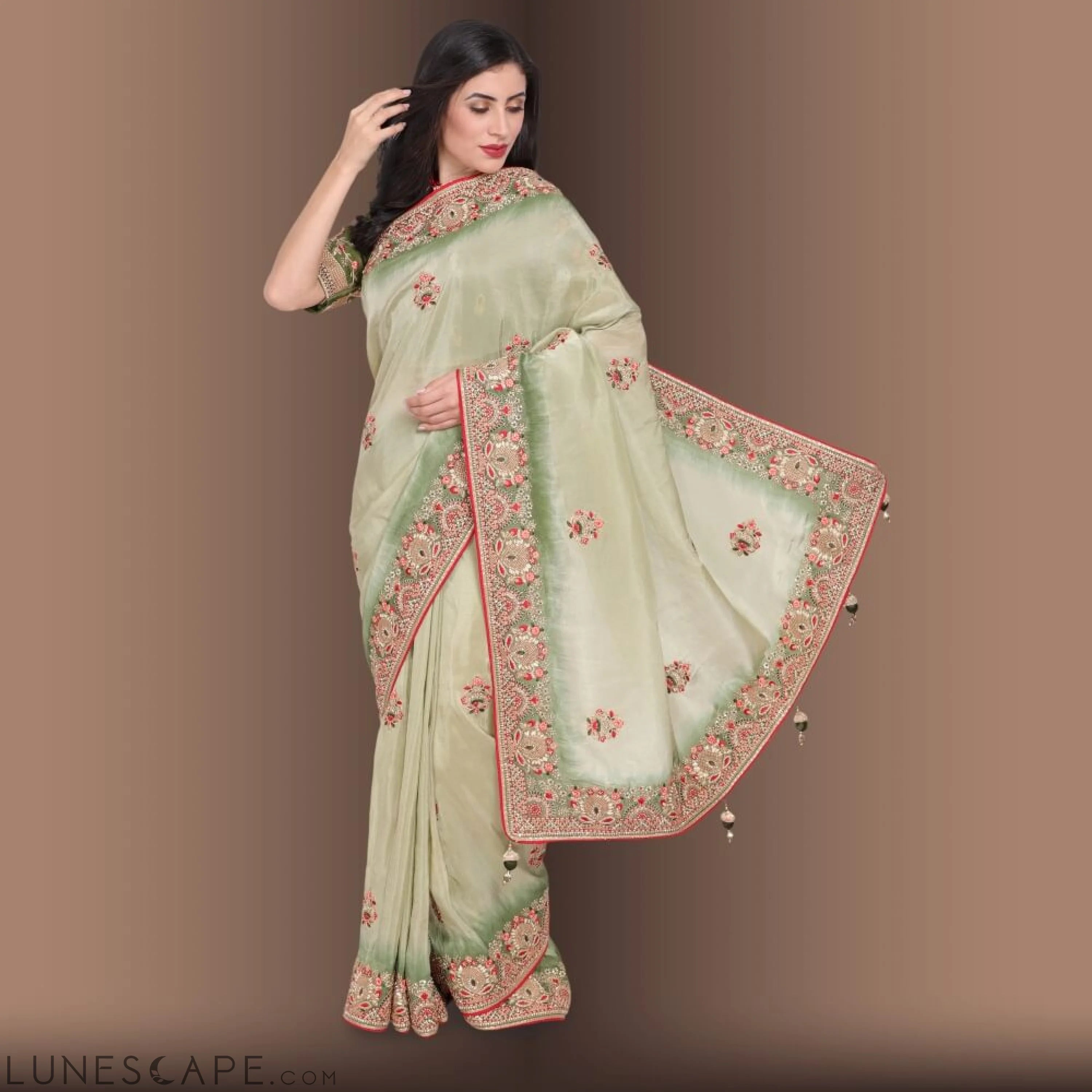 Pure Organza Saree With Zardozi Work LUNESCAPE