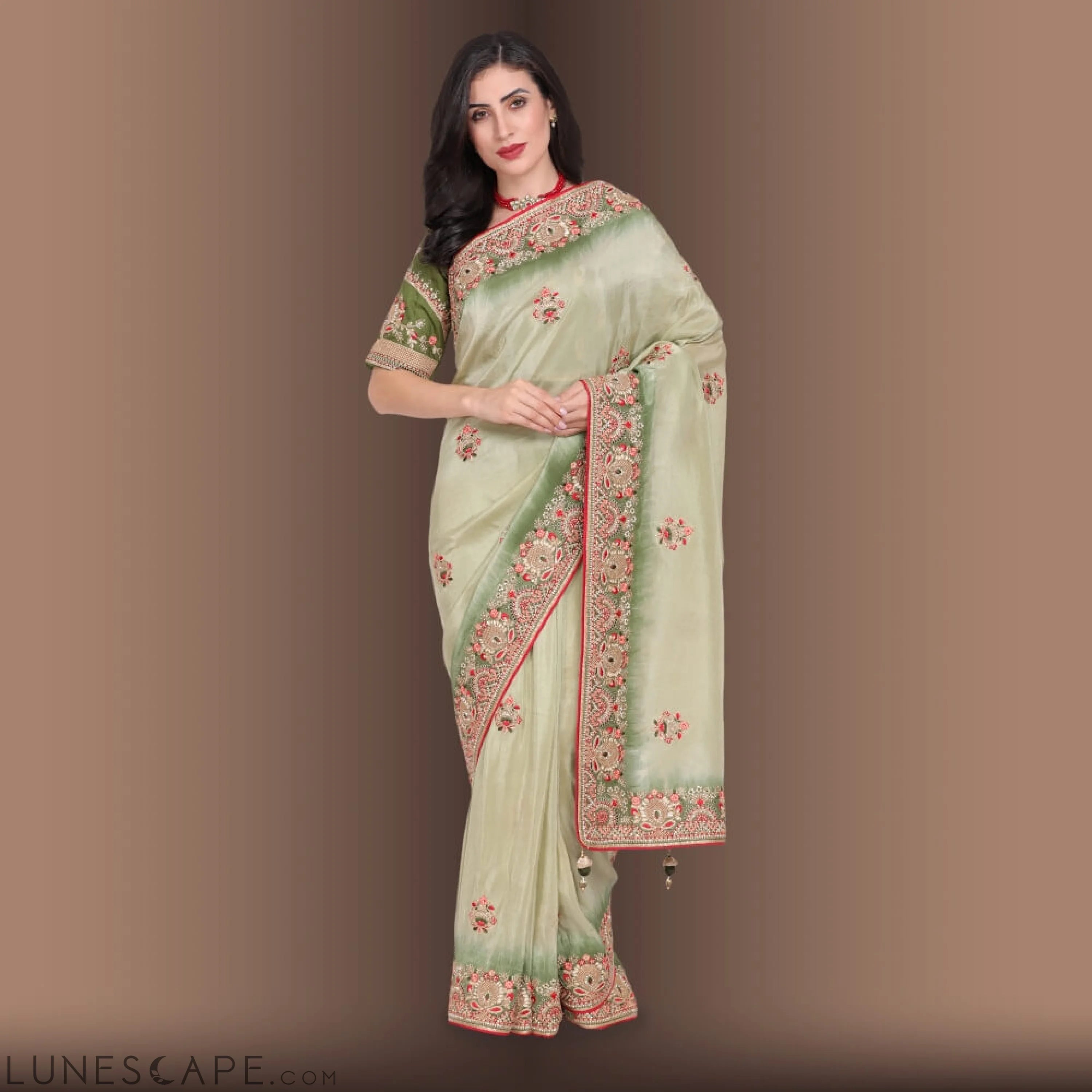 Pure Organza Saree With Zardozi Work LUNESCAPE