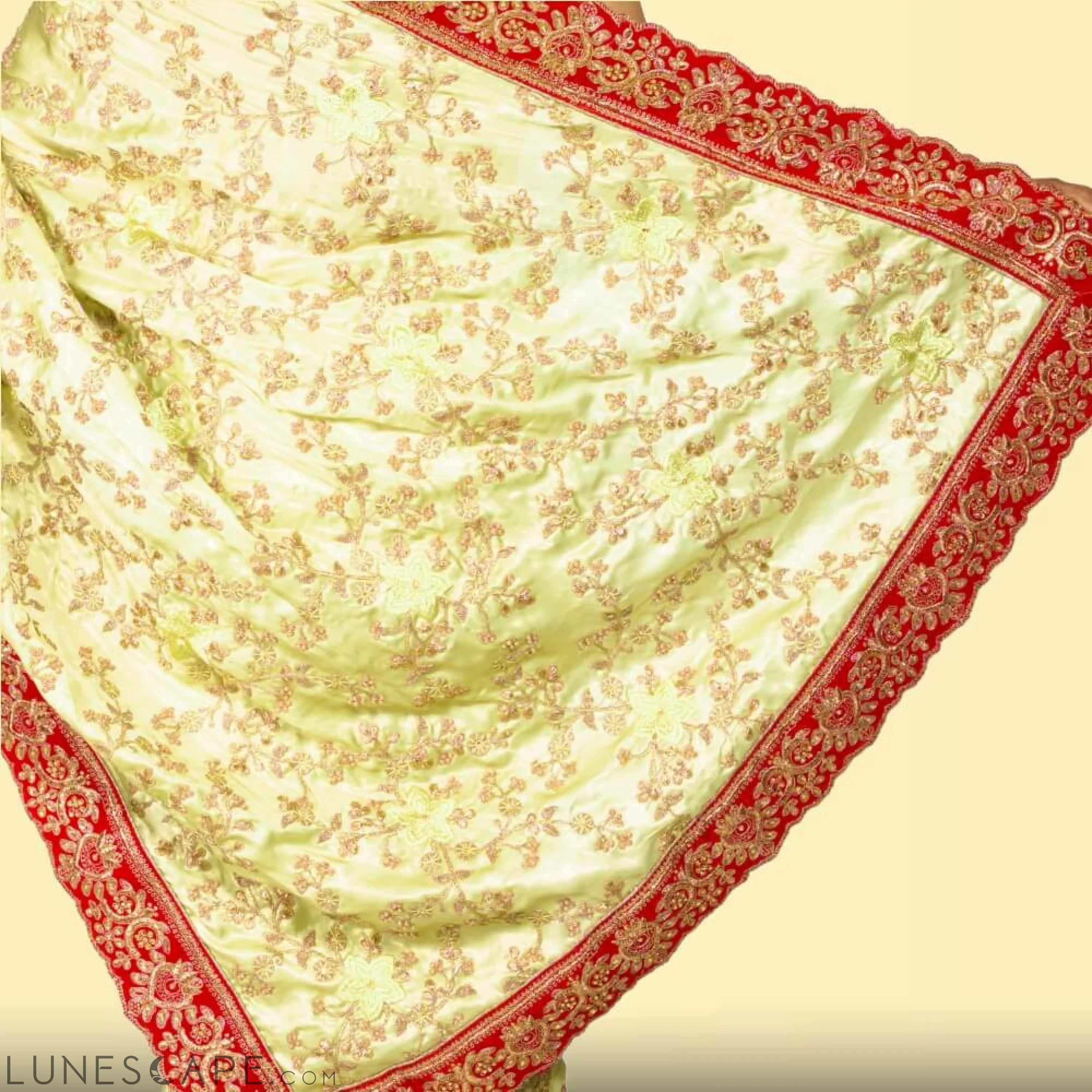 Pure Satin Embroidered Saree LUNESCAPE