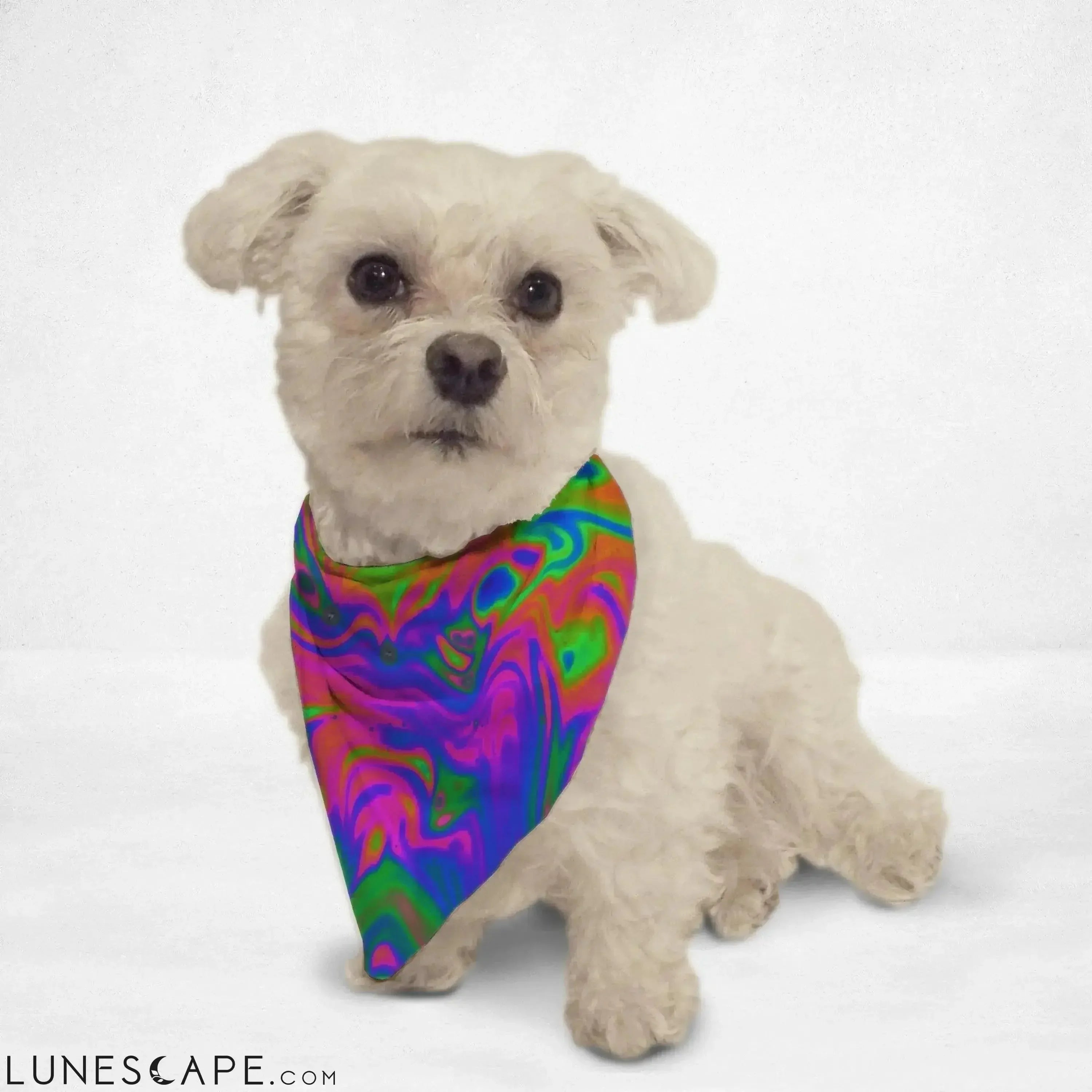 Rainbow Swirl Cat & Dog Bandana LUNESCAPE