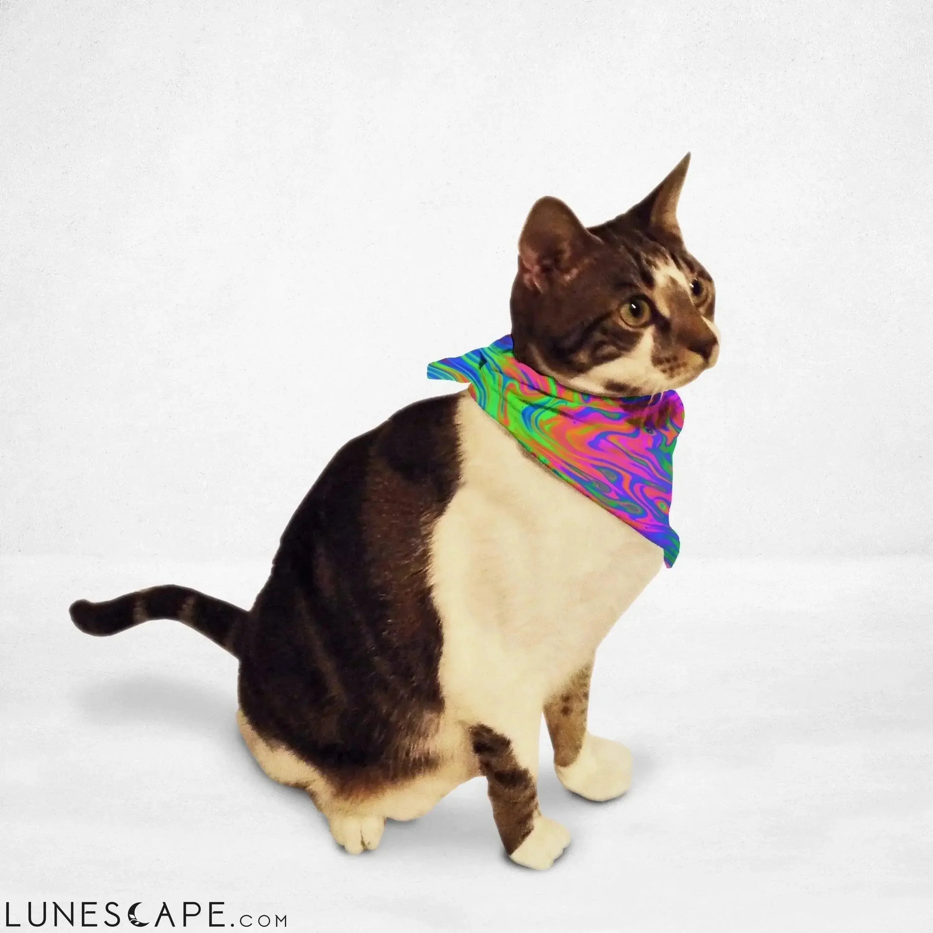 Rainbow Swirl Cat & Dog Bandana LUNESCAPE