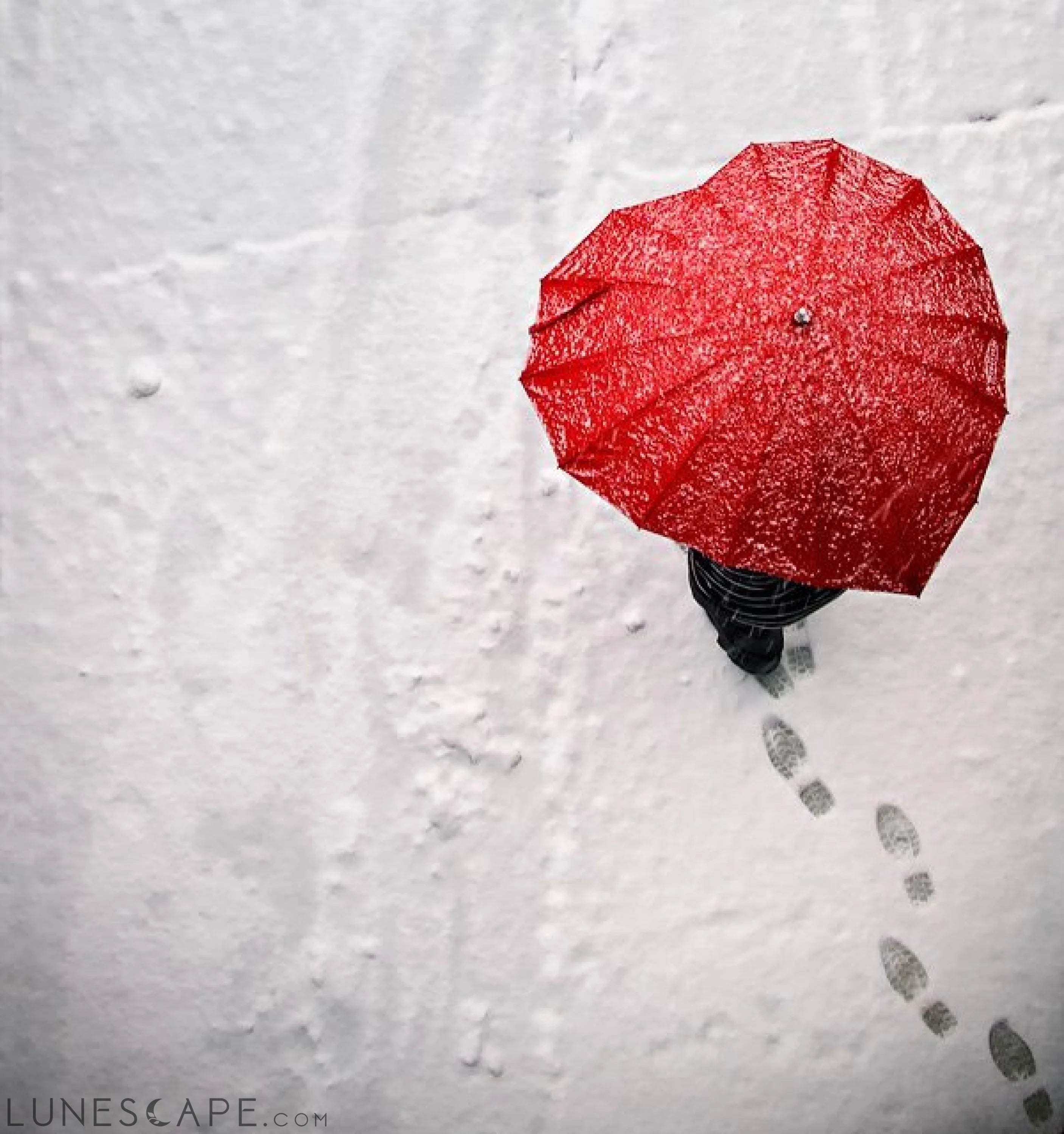 Red Heart Umbrella LUNESCAPE