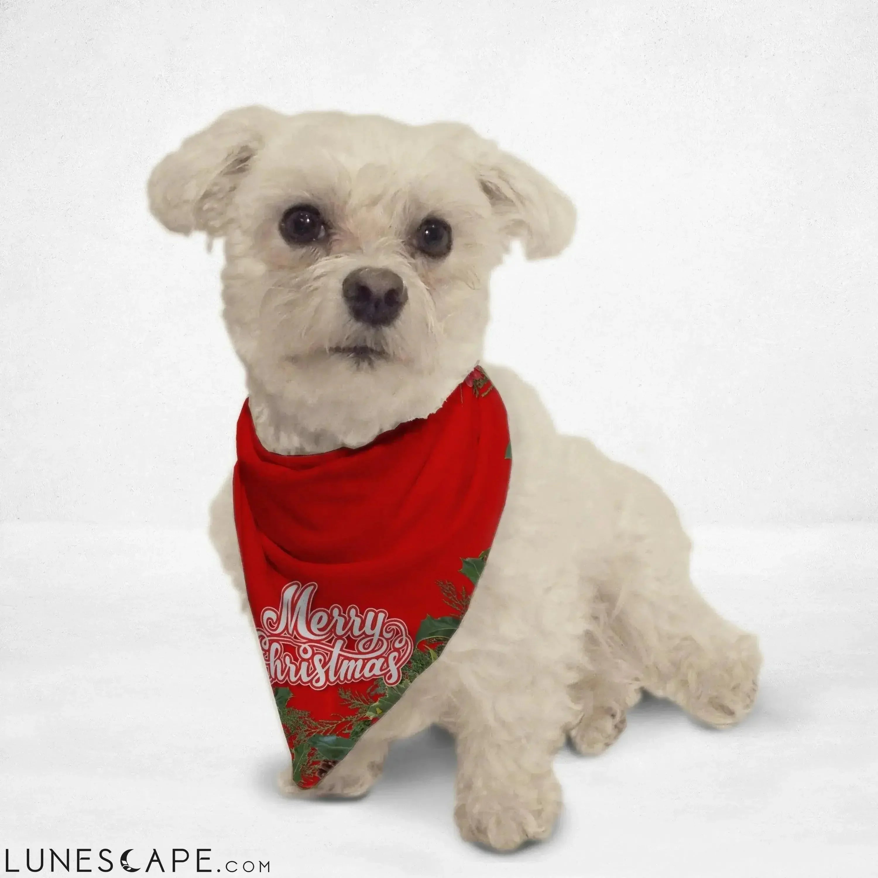 Red Holly Merry Christmas Cat Bandana LUNESCAPE