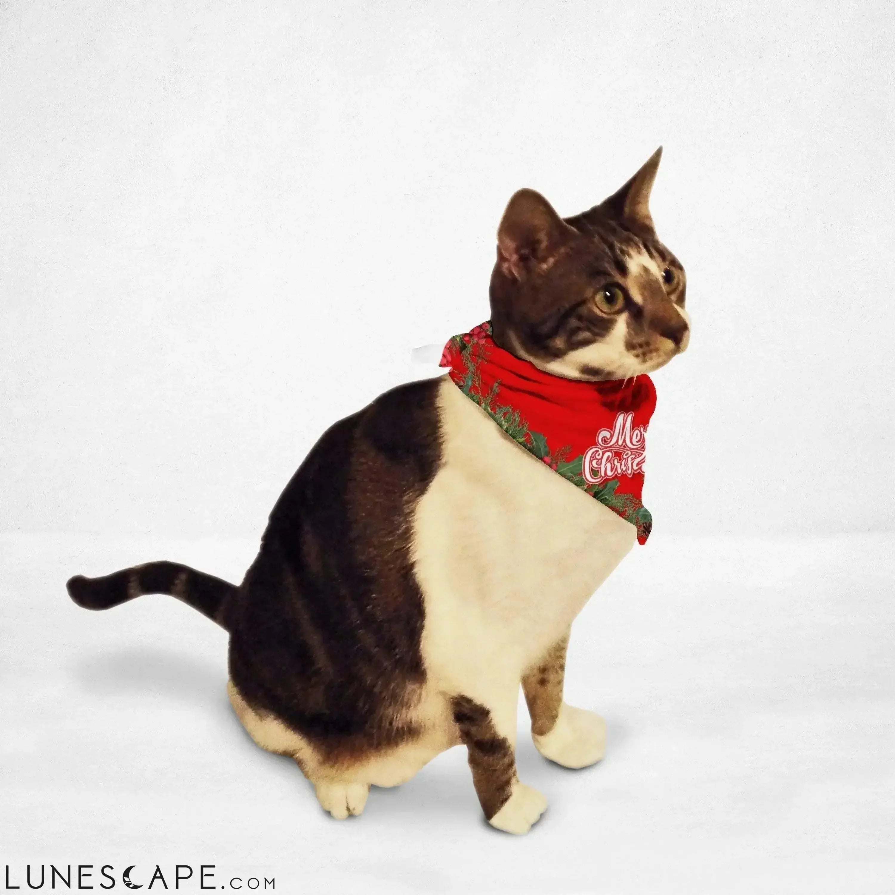 Red Holly Merry Christmas Cat Bandana LUNESCAPE