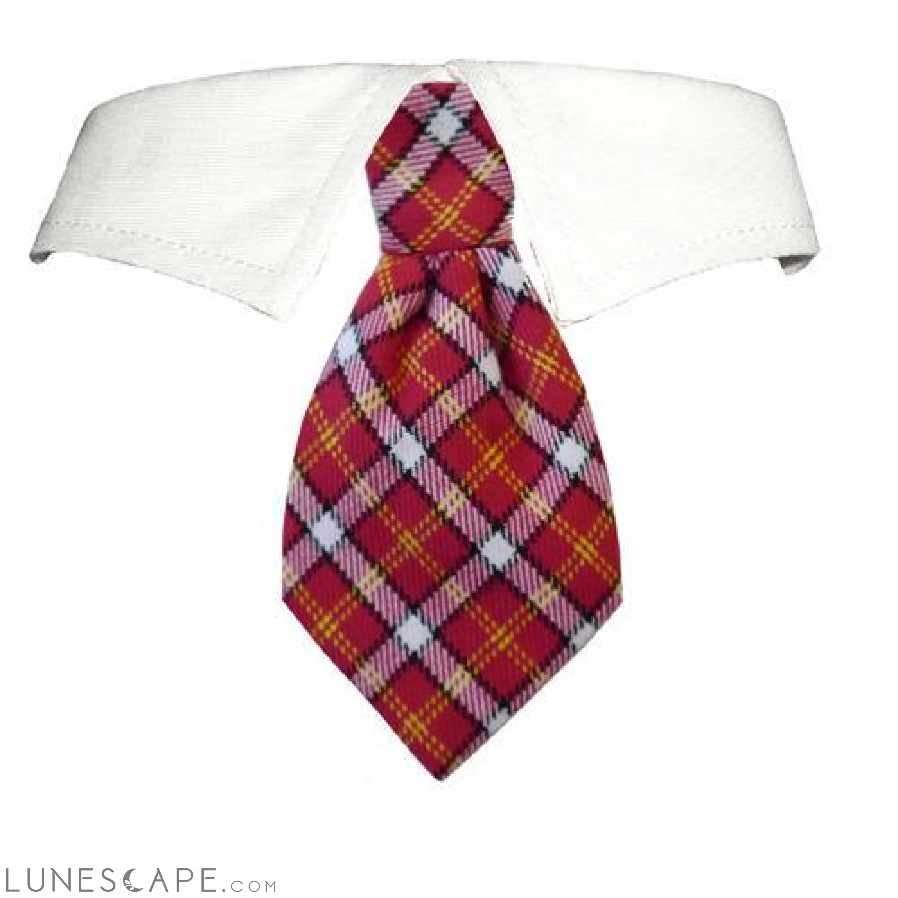 Richie Shirt Collar for Pets LUNESCAPE