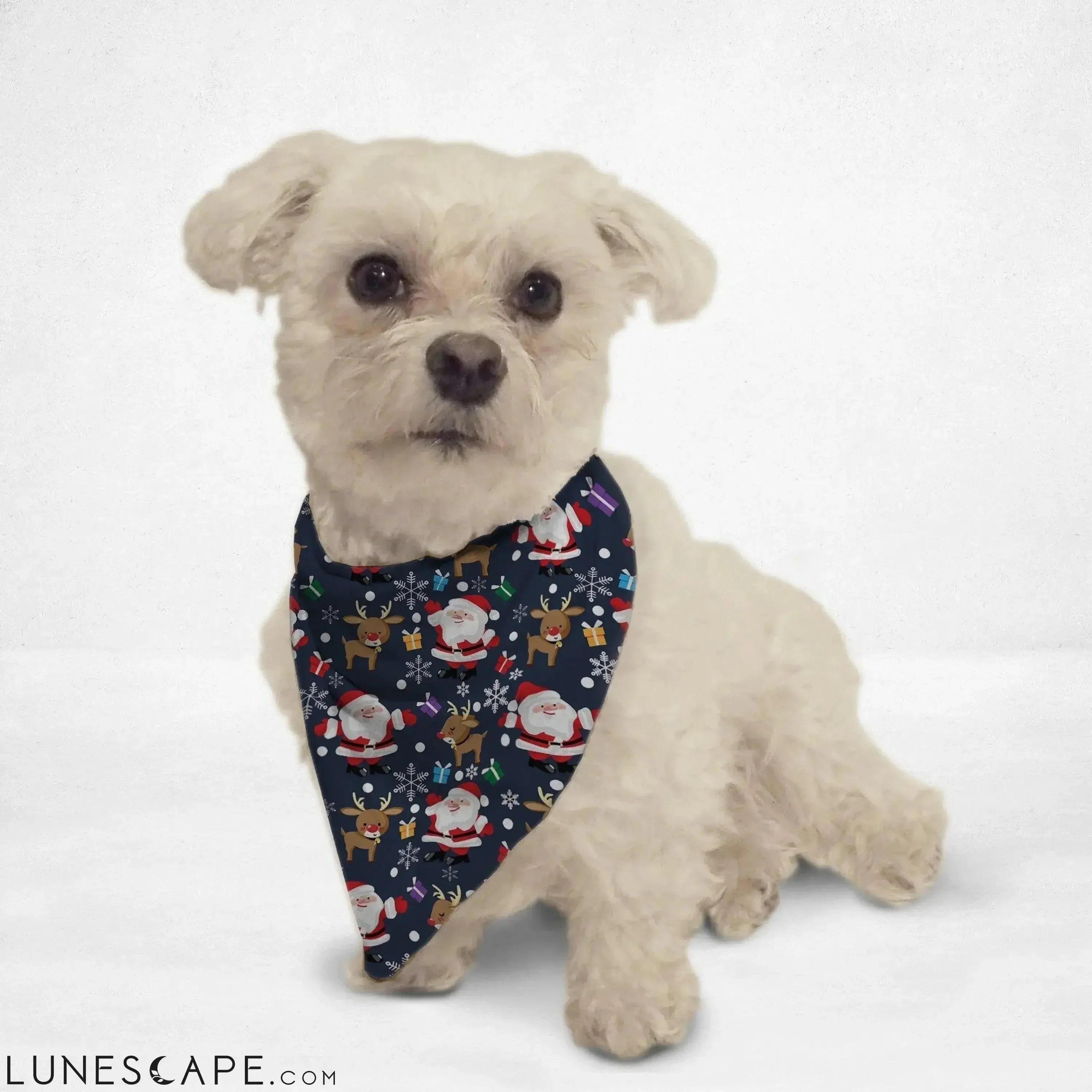 Santa Cartoon Cat Bandana LUNESCAPE