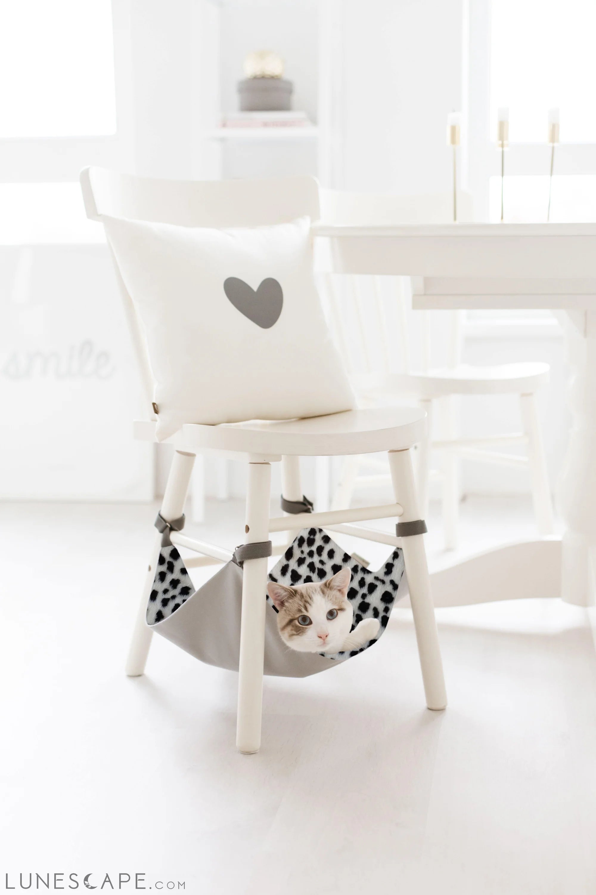 Saveplace® Hanging Mat for Storage & Pets – ORDERLY CHAOS LUNESCAPE