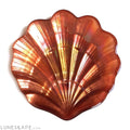 Seashell Copper 5.5