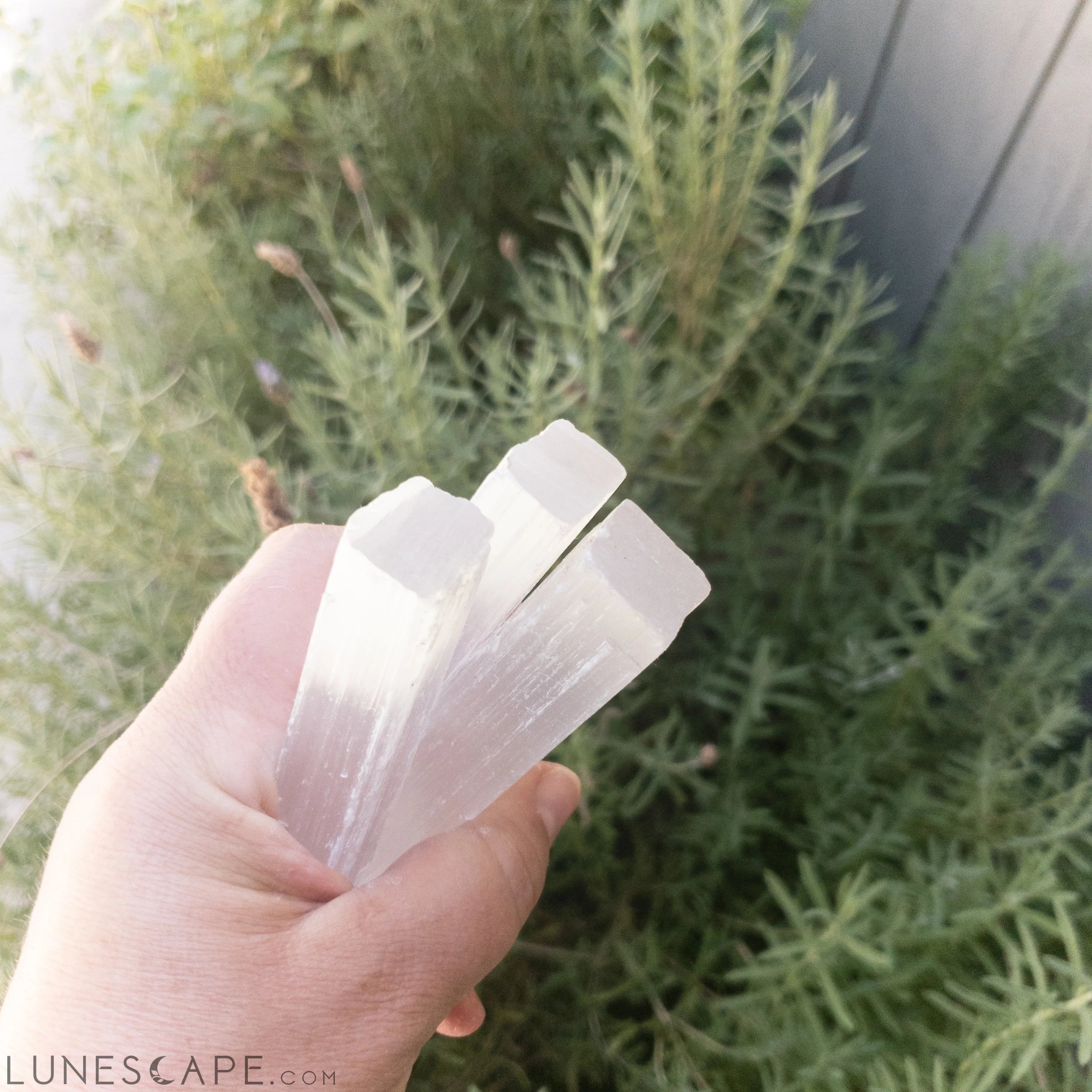 Selenite Sticks 4" LUNESCAPE