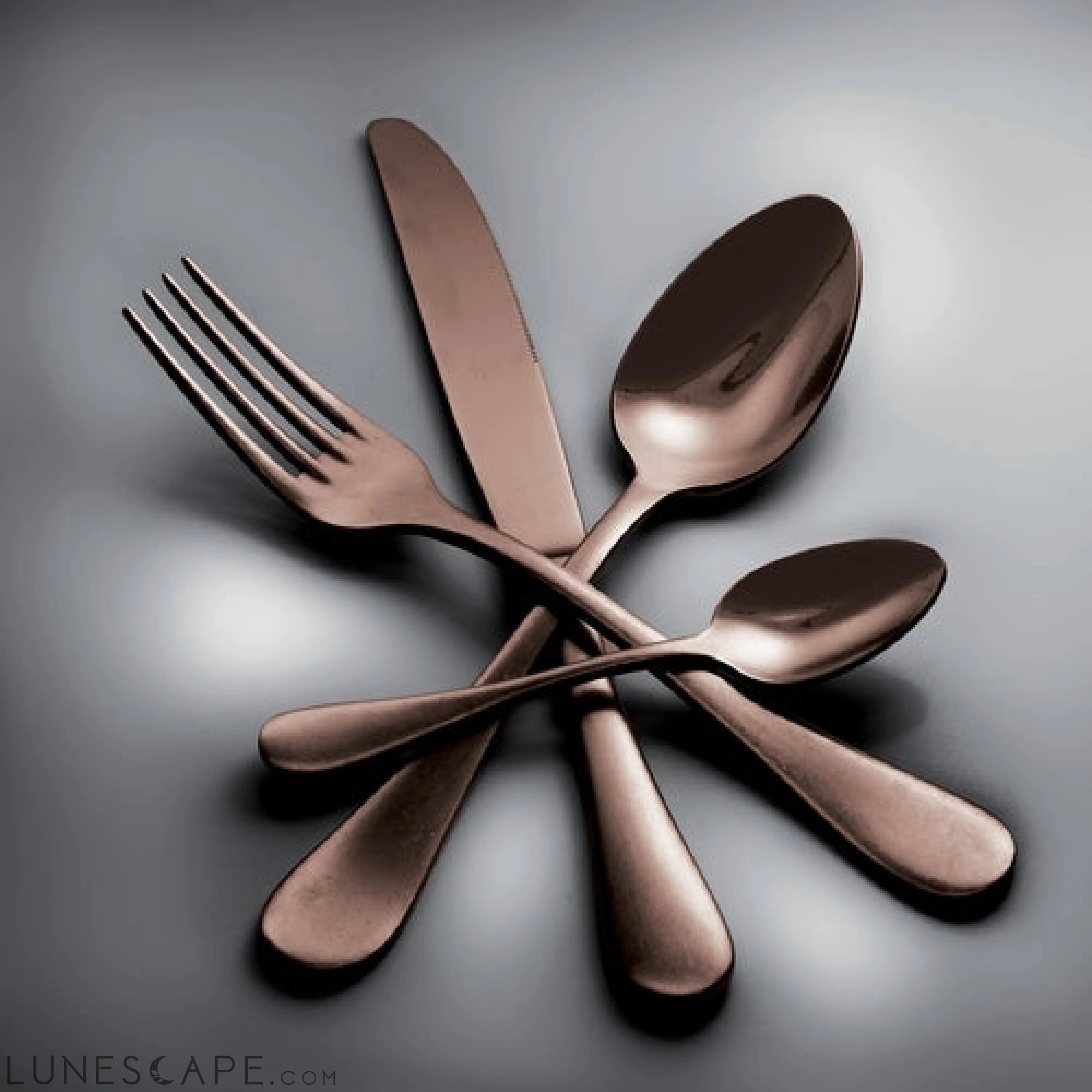 Serving Set (Fork and Spoon) VINTAGE BRONZO LUNESCAPE
