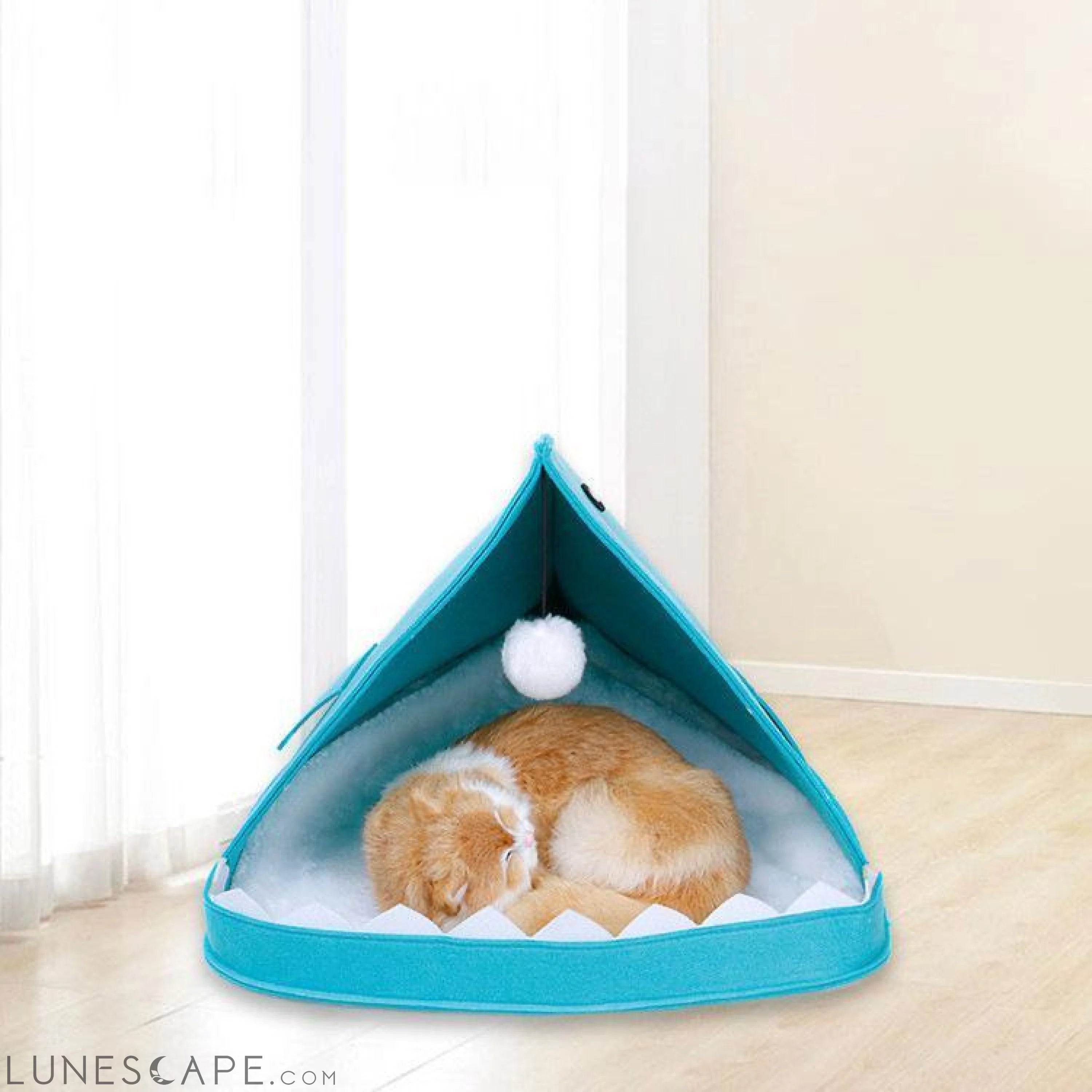 Sharky Cat House LUNESCAPE