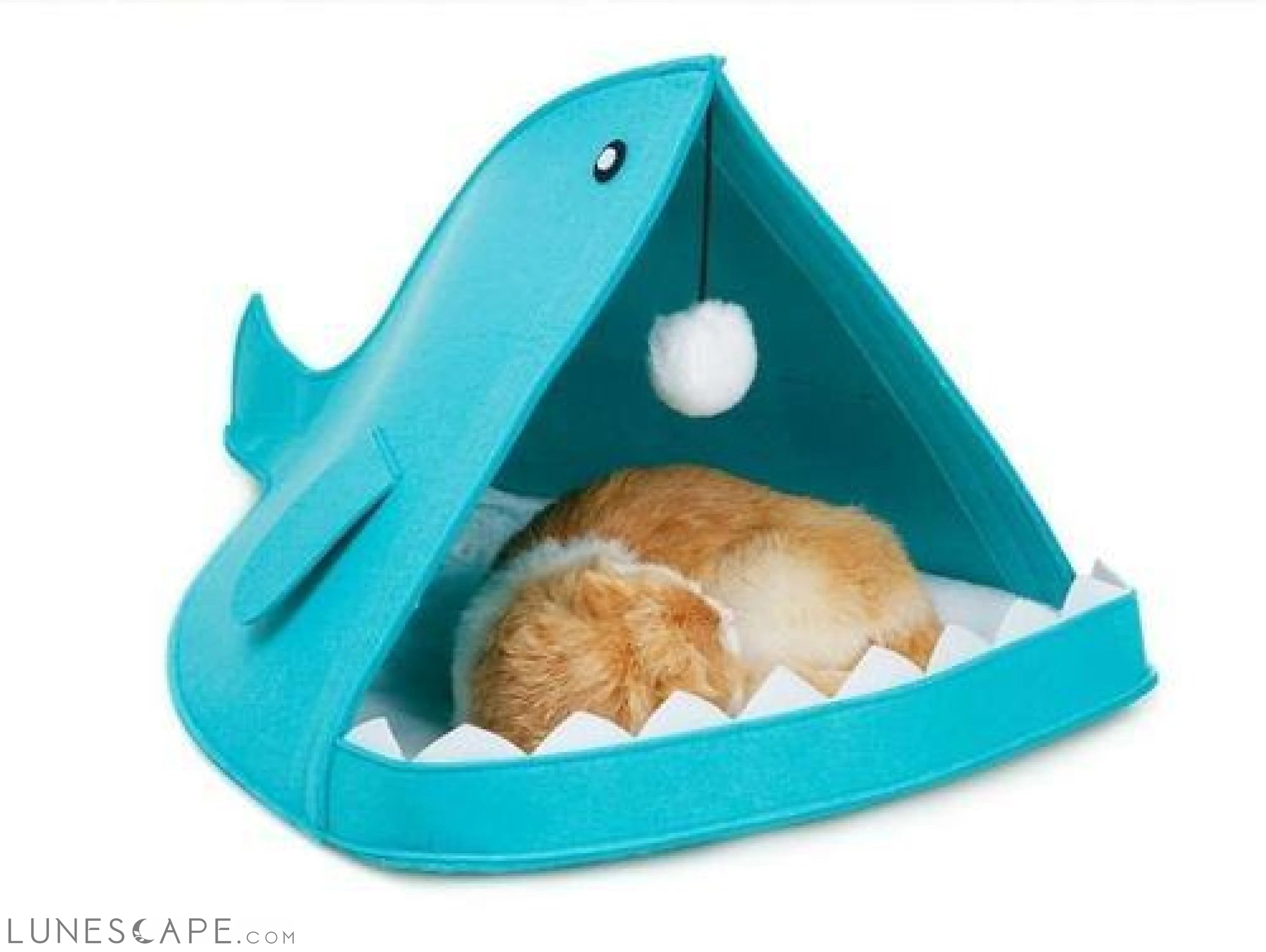 Sharky Cat House LUNESCAPE