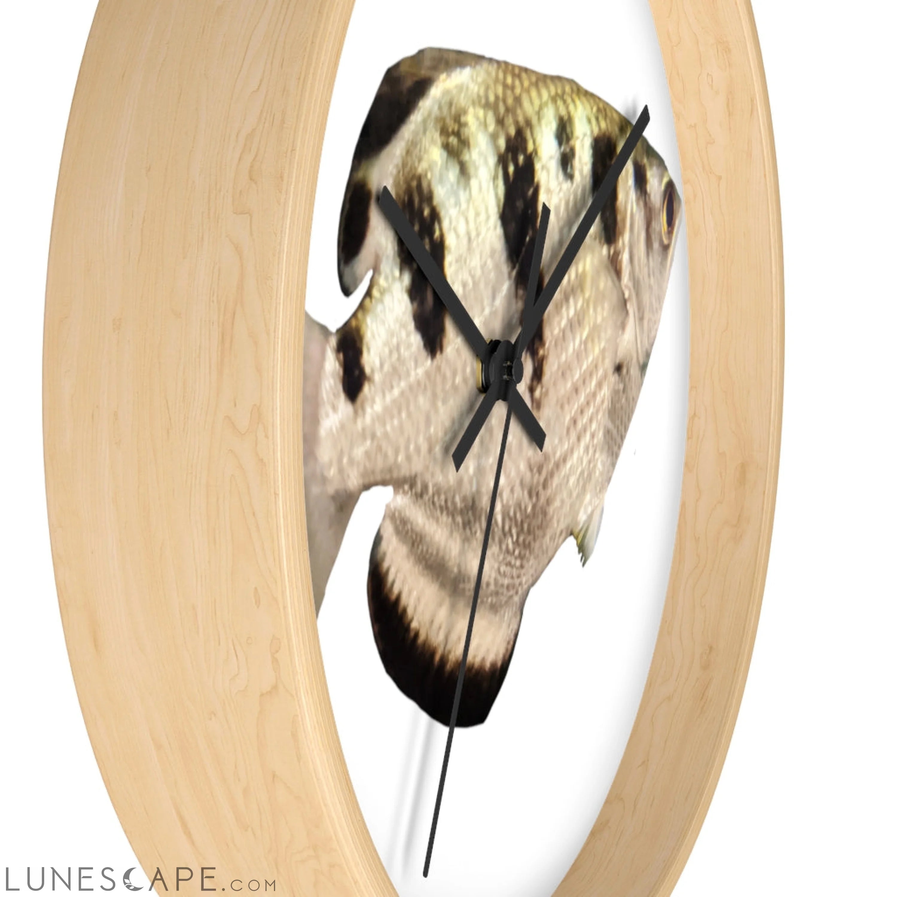 Silver and Black Fish Wall clock LUNESCAPE