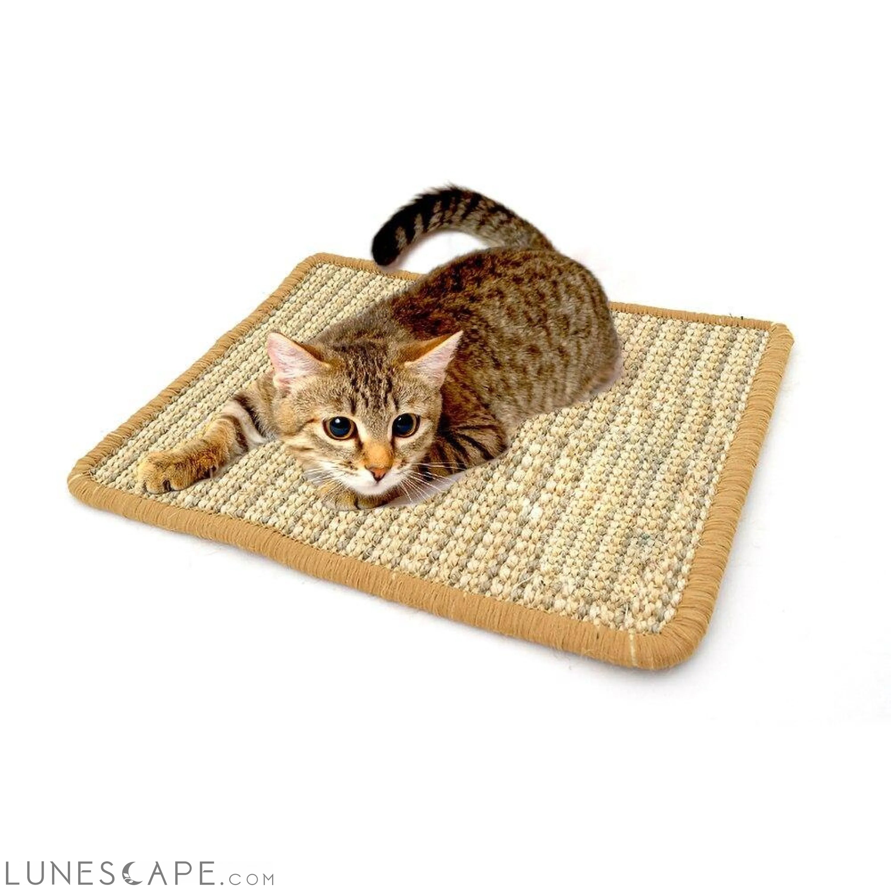 Sisal Scratching Rug for Cats LUNESCAPE