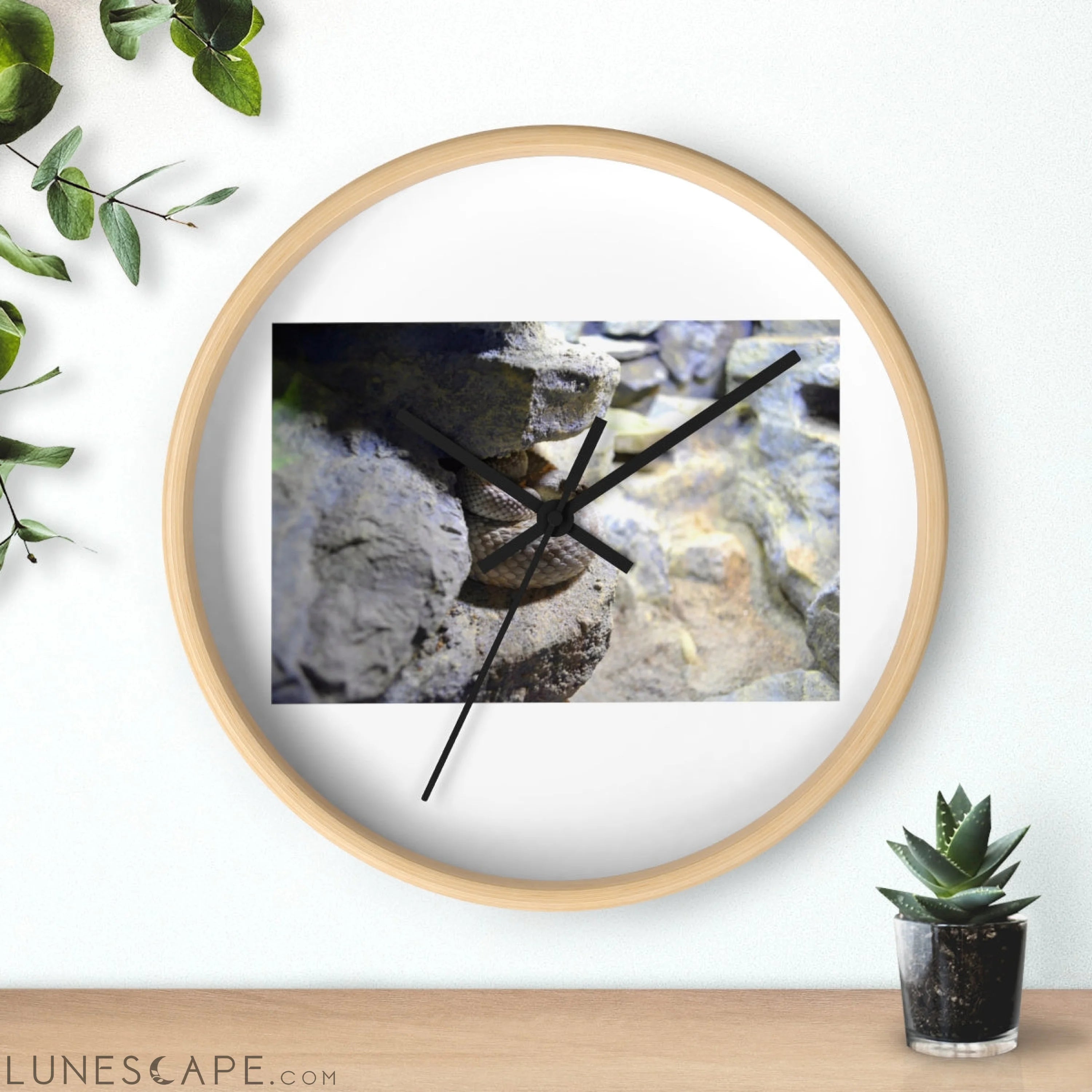 Snake Wall clock Wall Clocks