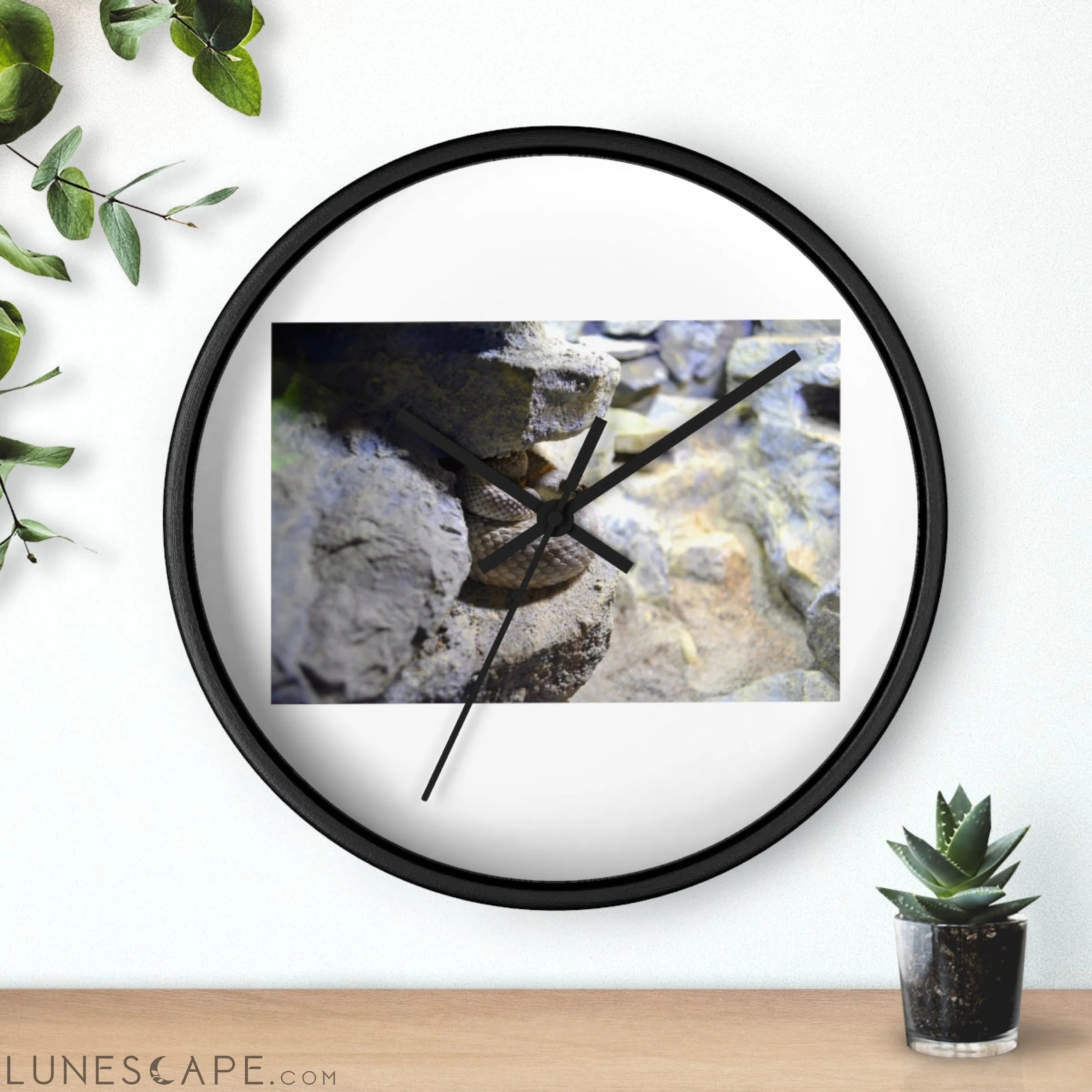 Snake Wall clock Wall Clocks
