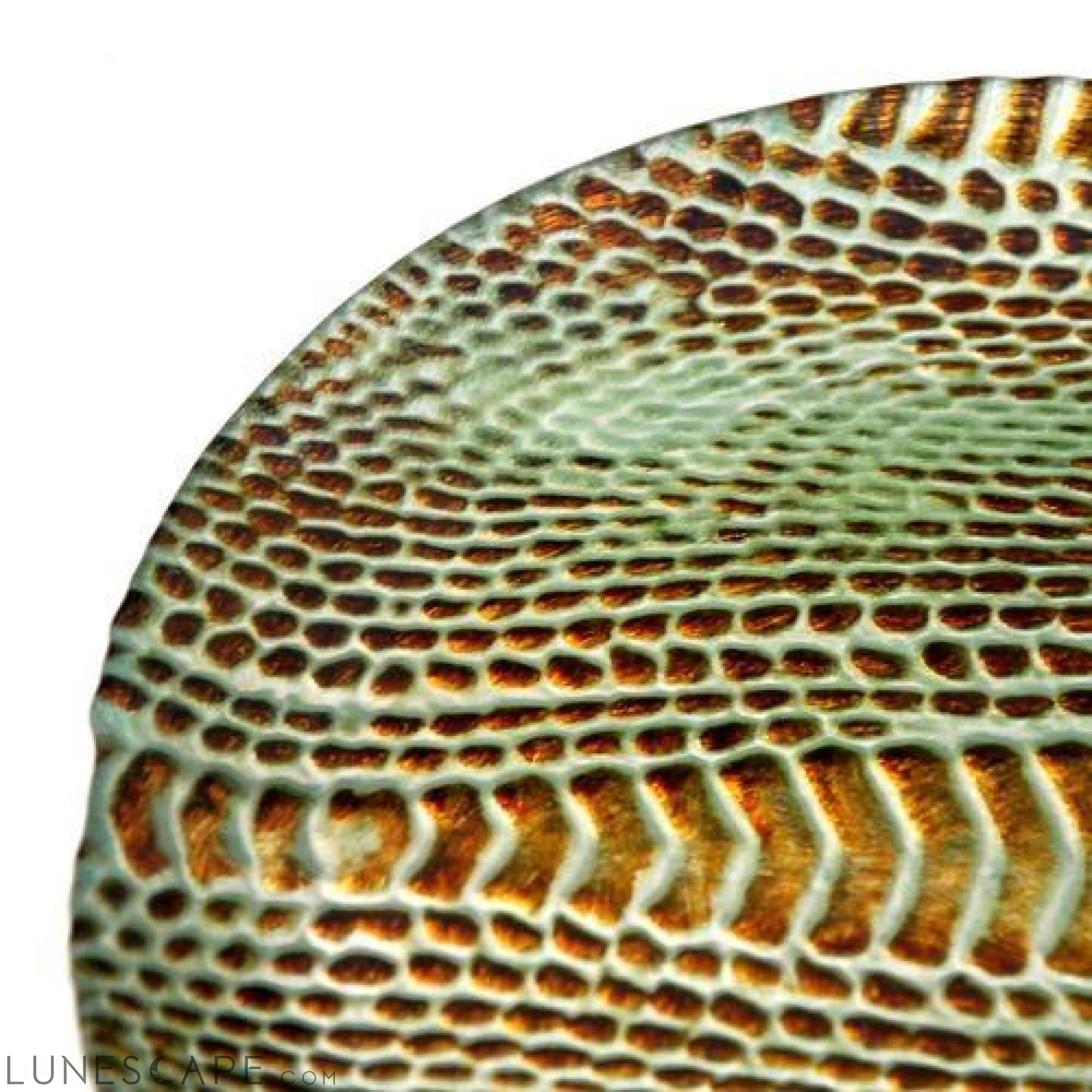 Snakeskin 8.5" Side Plates - Set of 4 LUNESCAPE