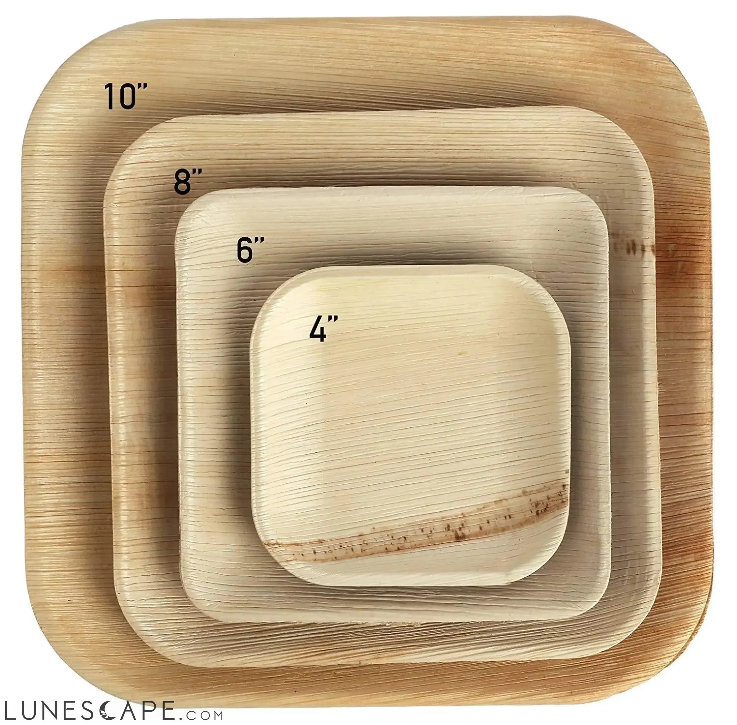 Square Palm Leaf Dinner Plates - Mixed Sizes LUNESCAPE