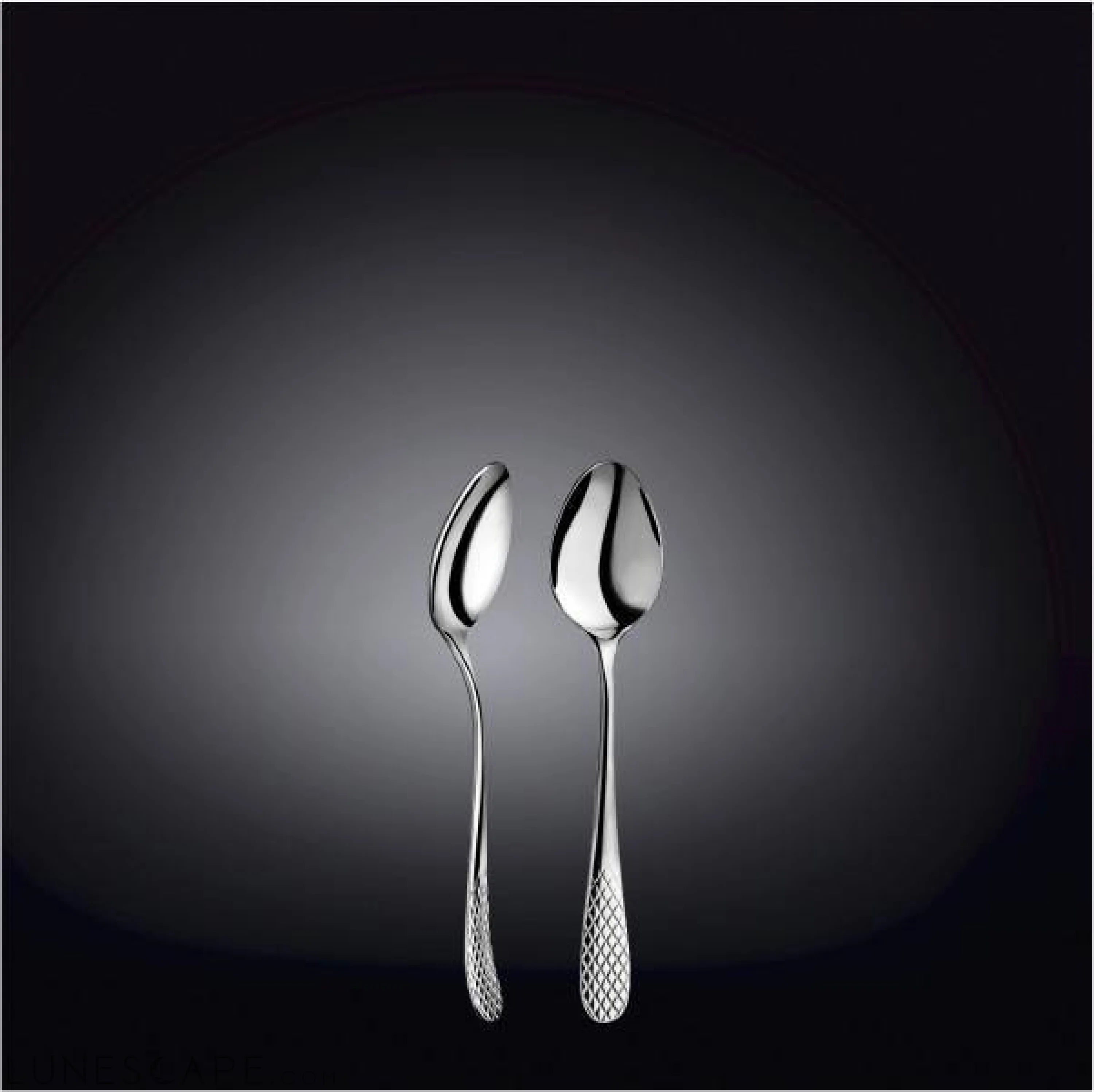 Stainless Steel Coffee Spoon LUNESCAPE