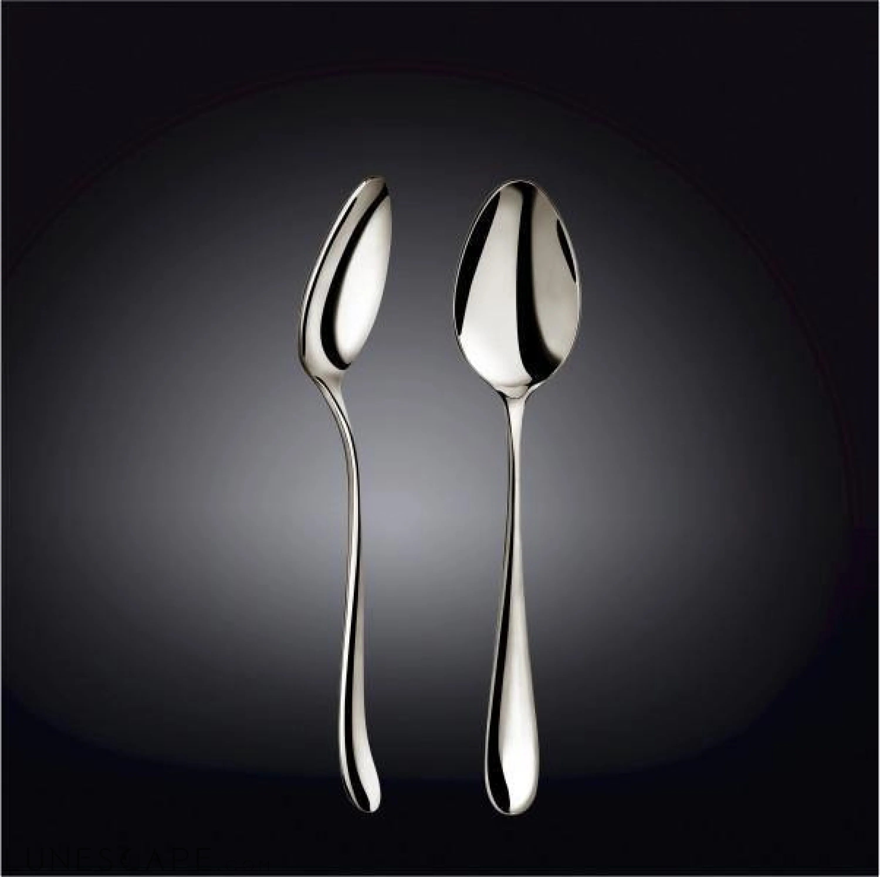 Stainless Steel Dinner Spoon - 6 Pc. Set LUNESCAPE