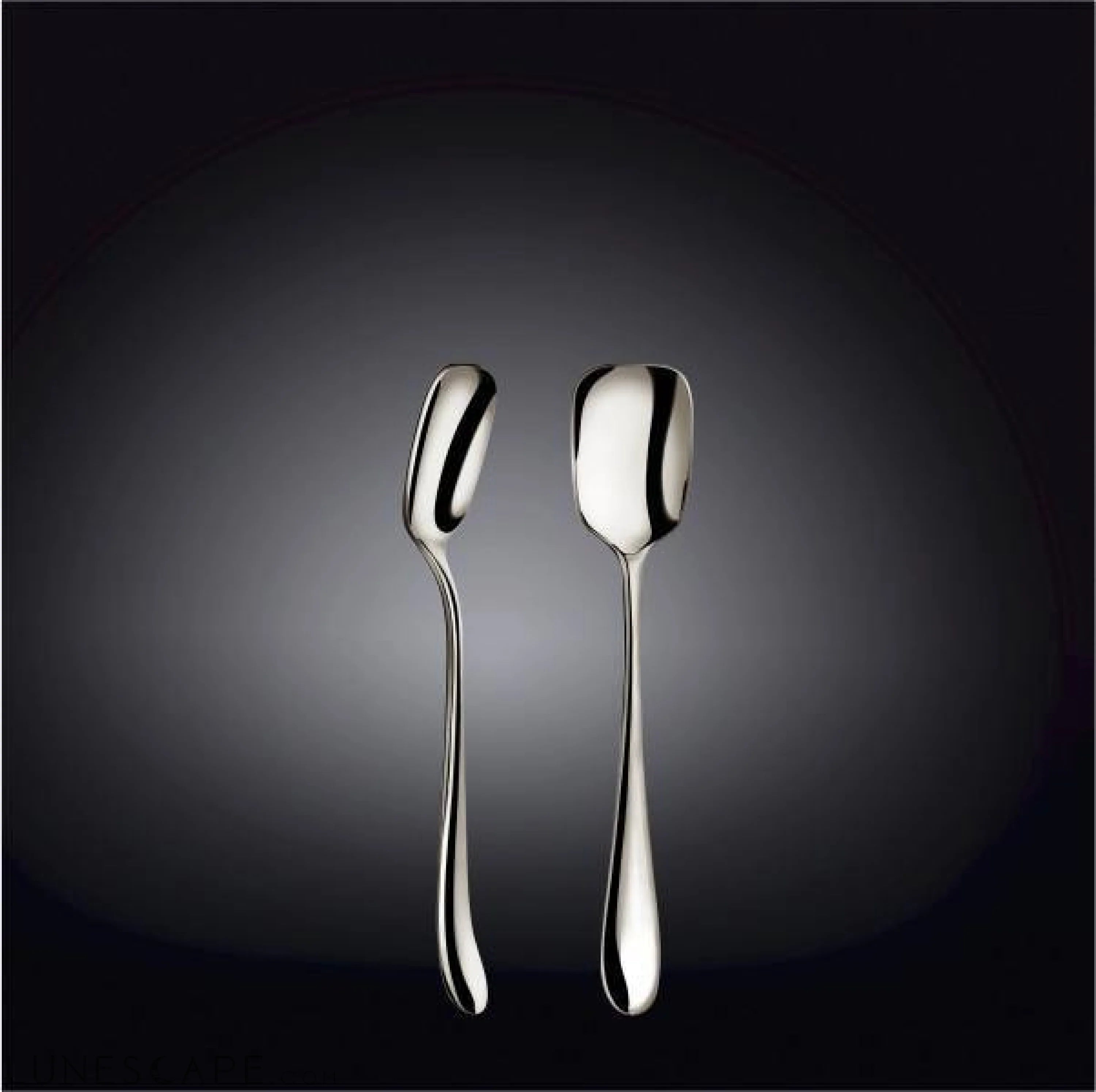 Stainless Steel Ice Cream Spoon LUNESCAPE