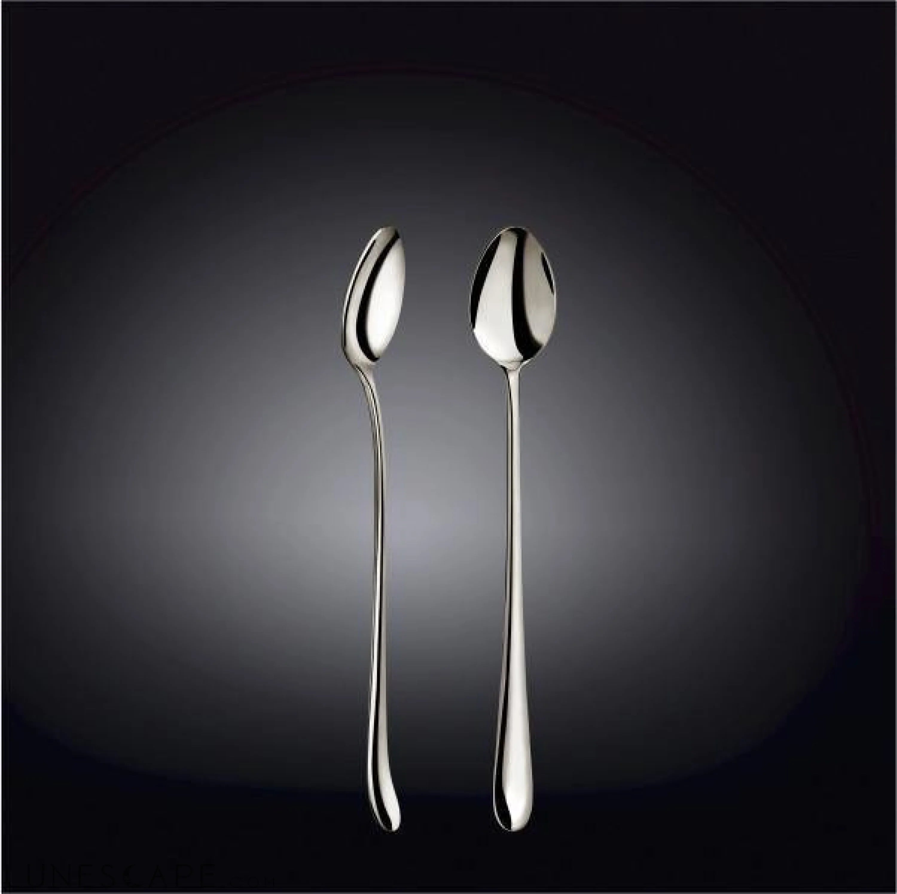 Stainless Steel Long Tea Spoon LUNESCAPE