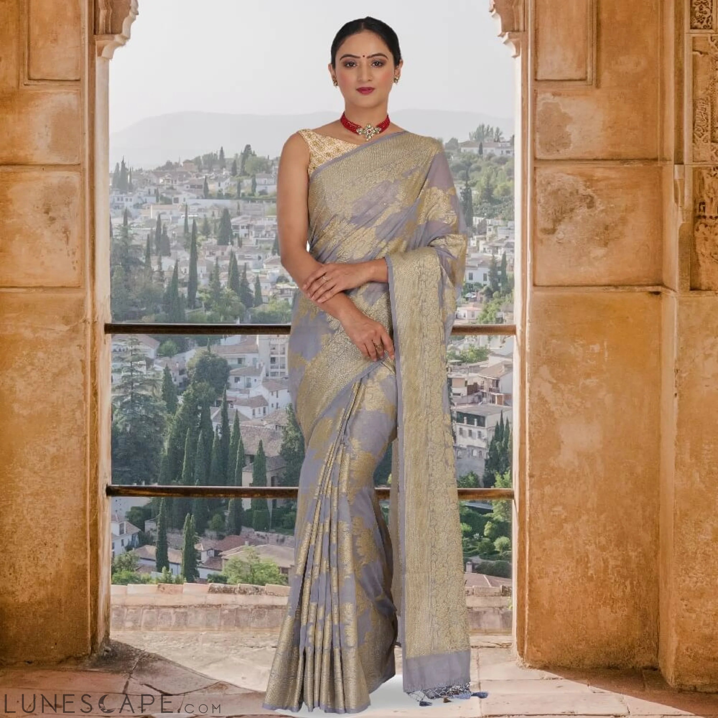 Steel Gray Soft Jaal Work  Banarasi Saree LUNESCAPE